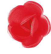 100 ROSA MINI ROSSA 3CM