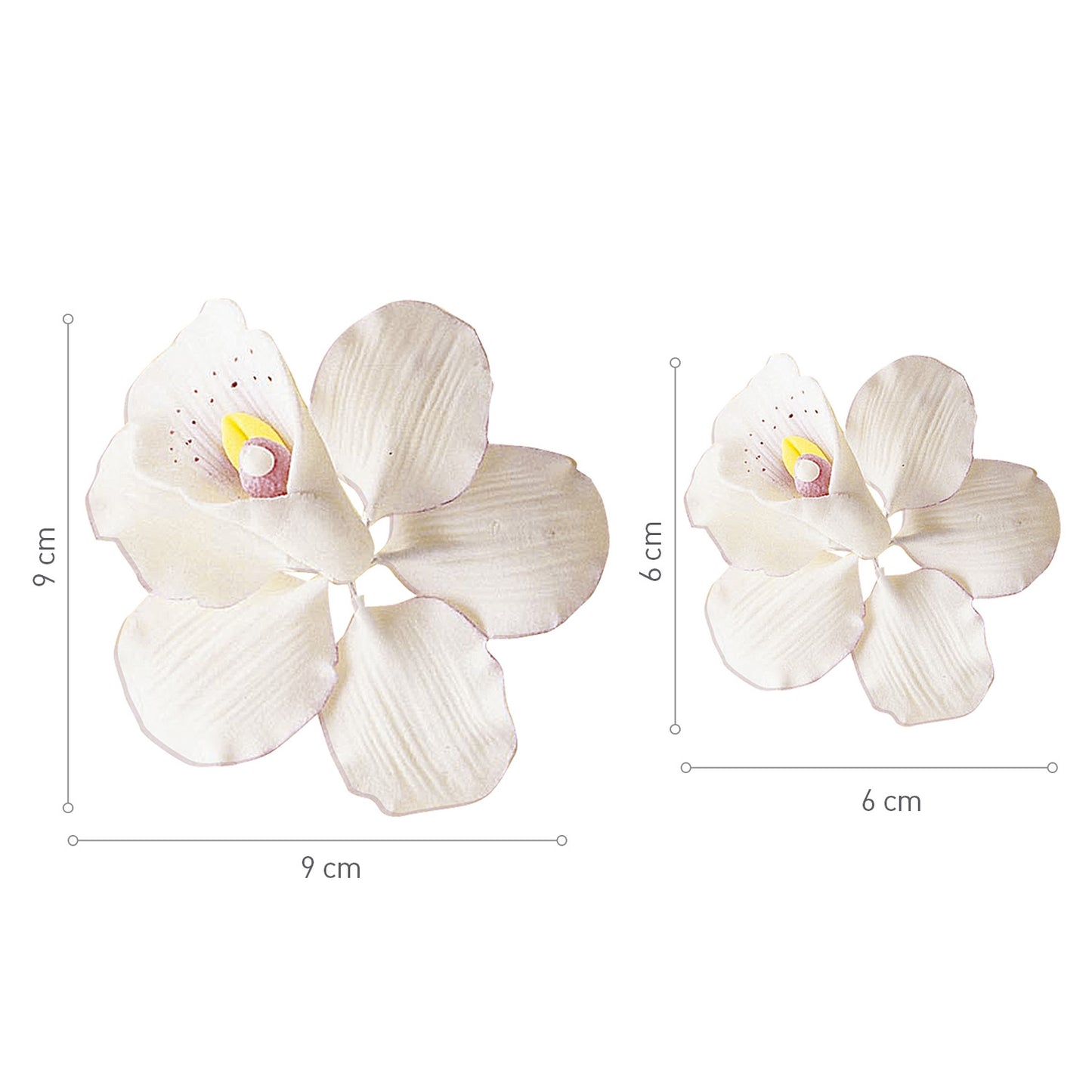 DECORAZIONE ZUCCHERO ASSORTIMENTO ORCHIDEE 9X9 | 6X6 CM