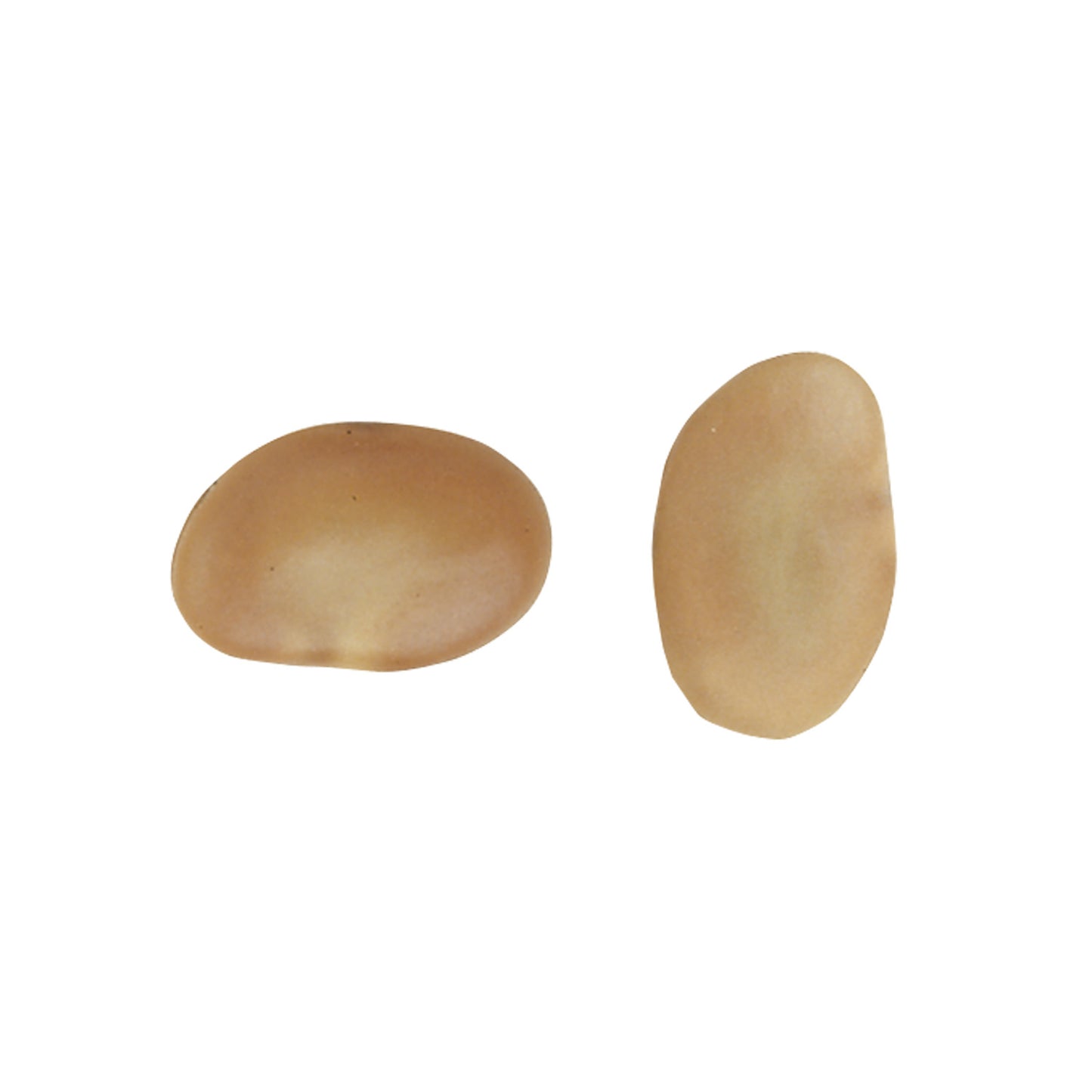 SCATOLA ASSORTIMENTO ROSCON CORONA ORO RE -SPAGNOL