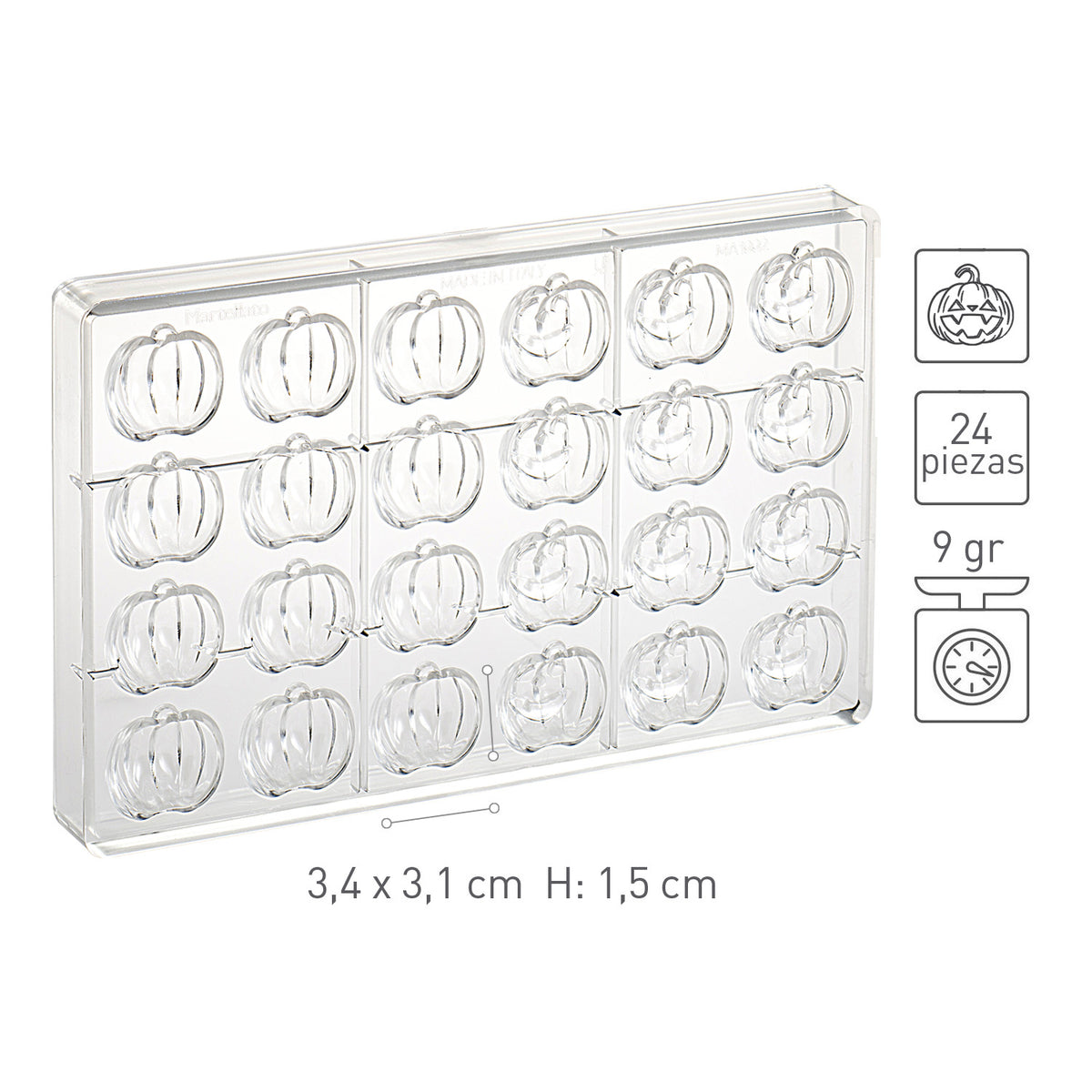 STAMPO POLICARBONATO ZUCCA 34x31 H15MM | 24 PEZZI