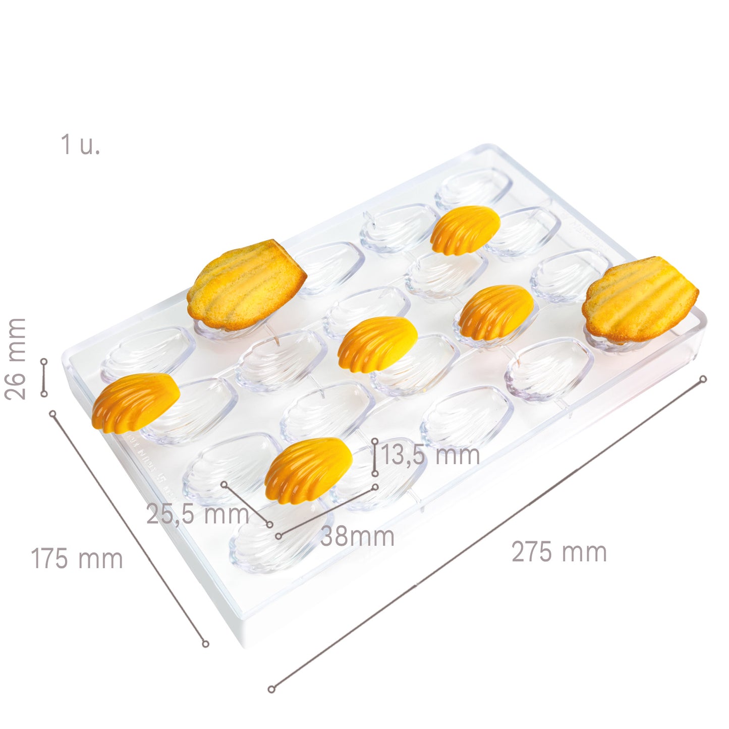 MOULE EN POLYCARBONATE 275 X 175 X 26 MM MADELEINE - 20 PIÈC