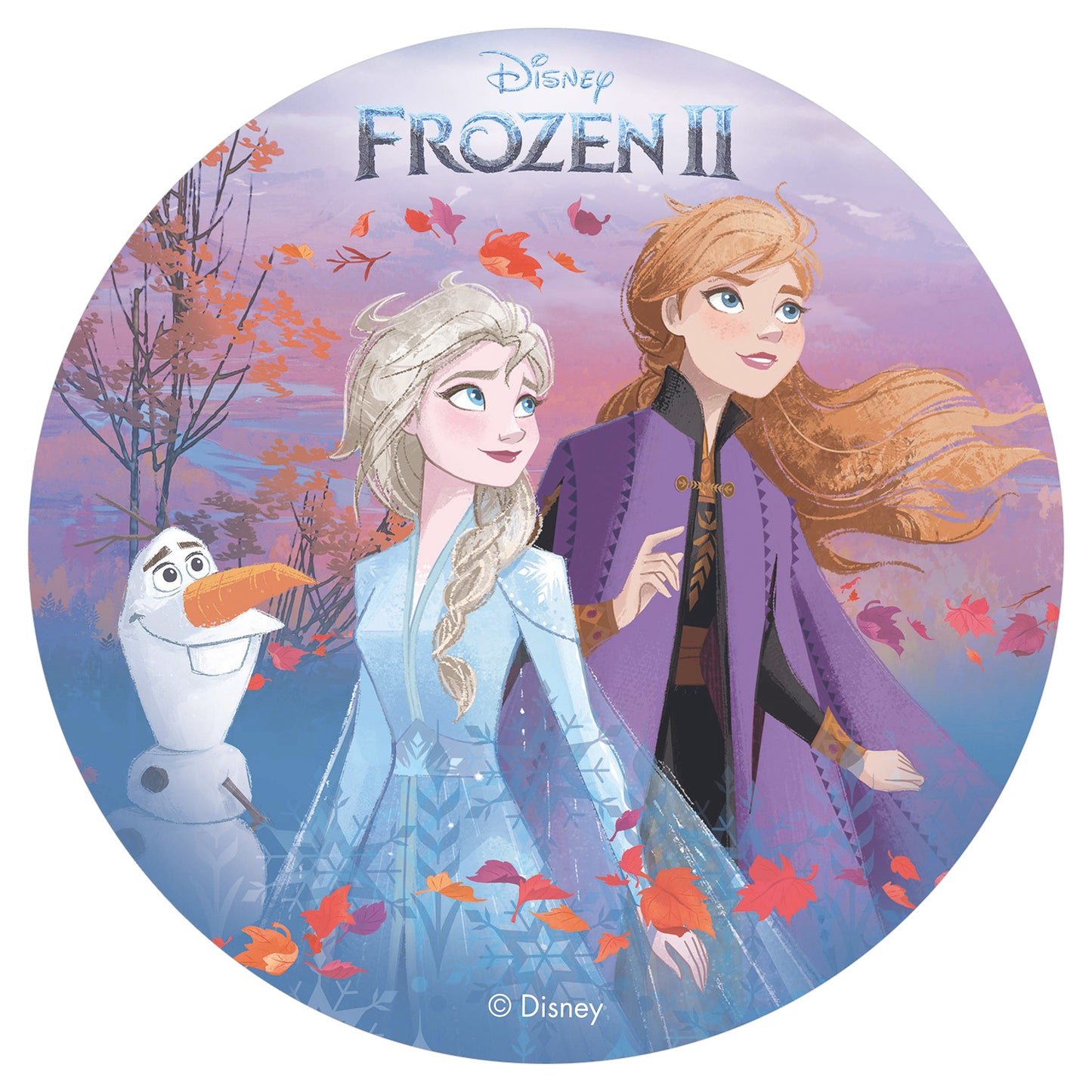 6 FROZEN II CAKE DECORATING WAFER DISCS FALL 20 CM