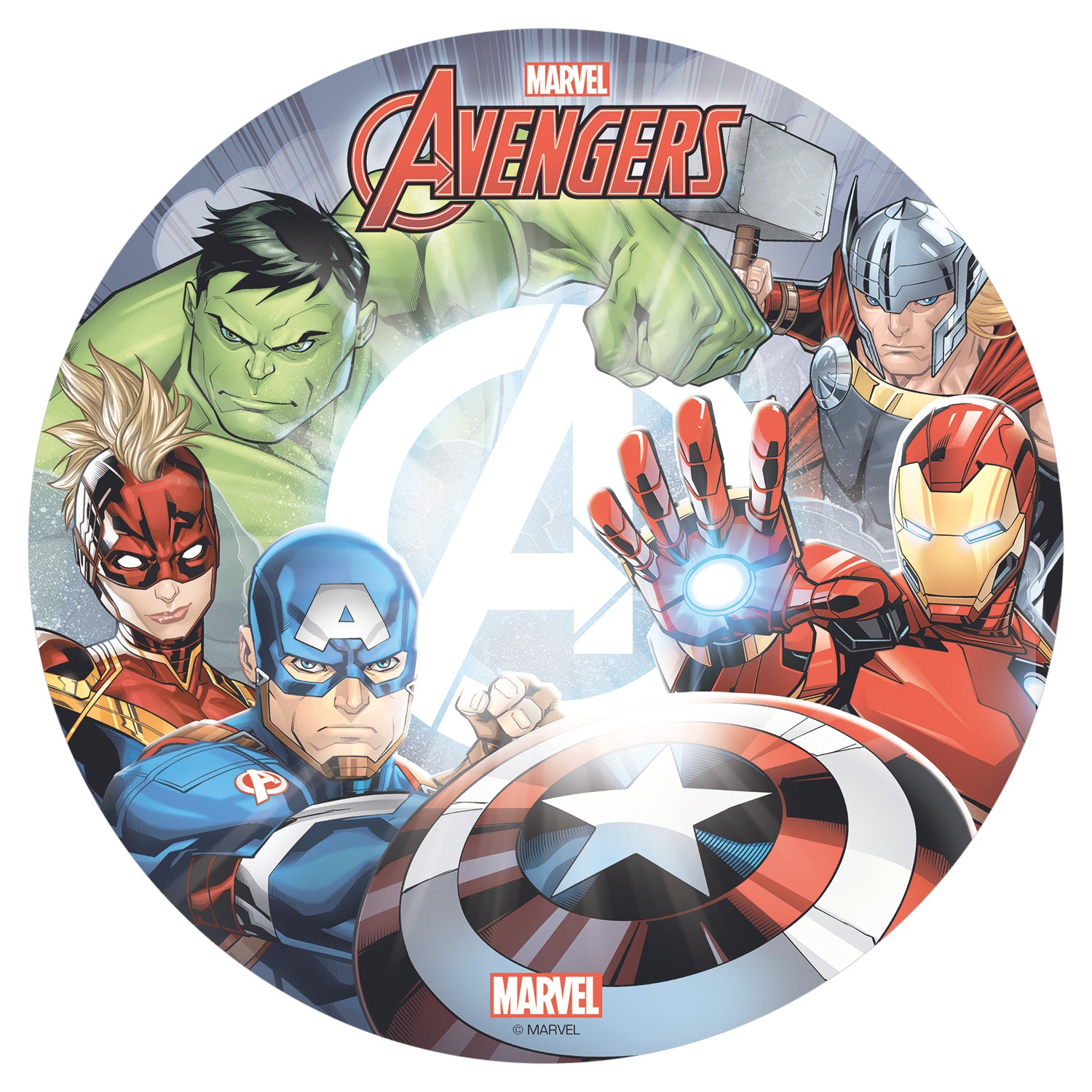 6 AVENGERS CAKE DECORATING WAFER DISCS 20 CM