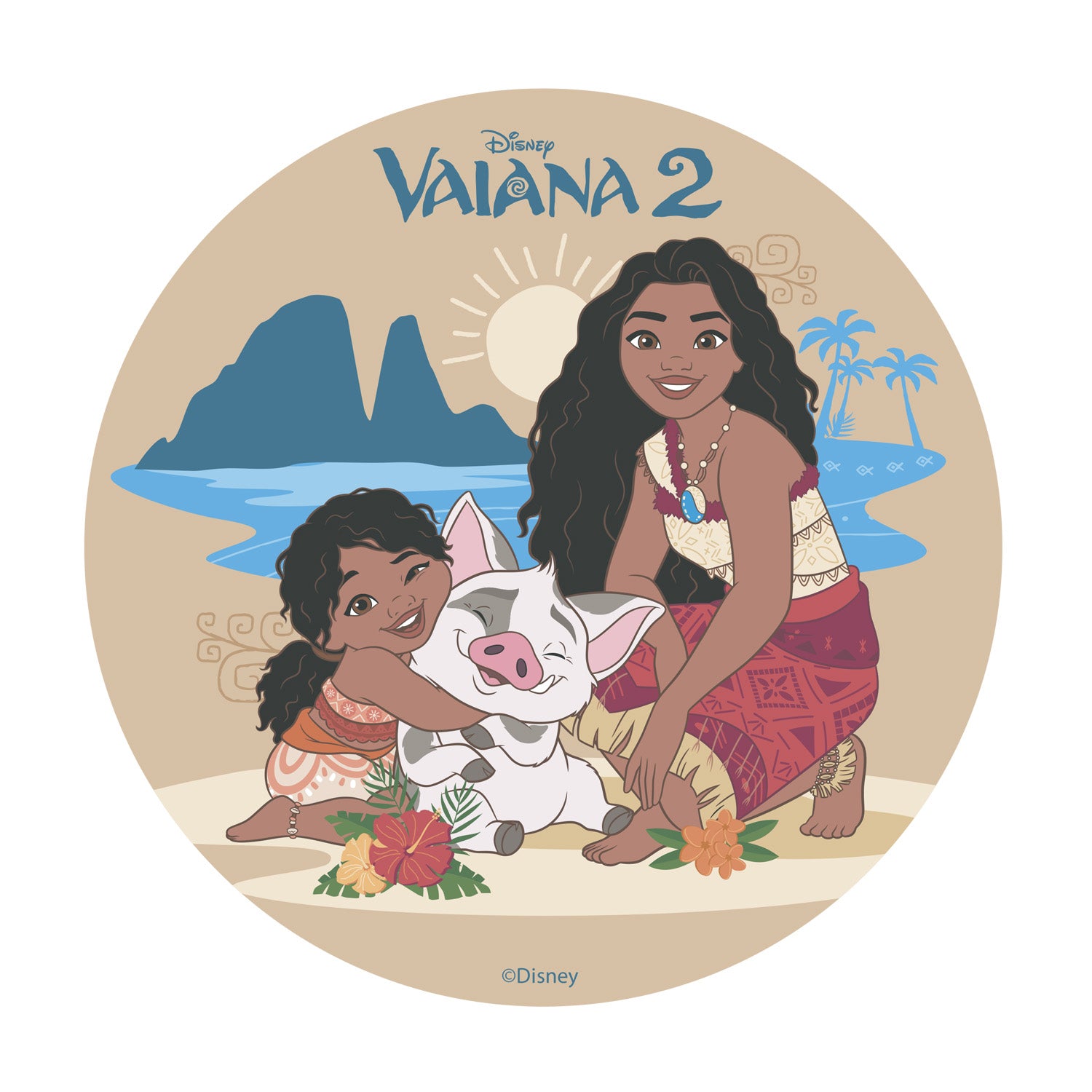 DISCO CIALDA TORTA VAIANA 2 20CM