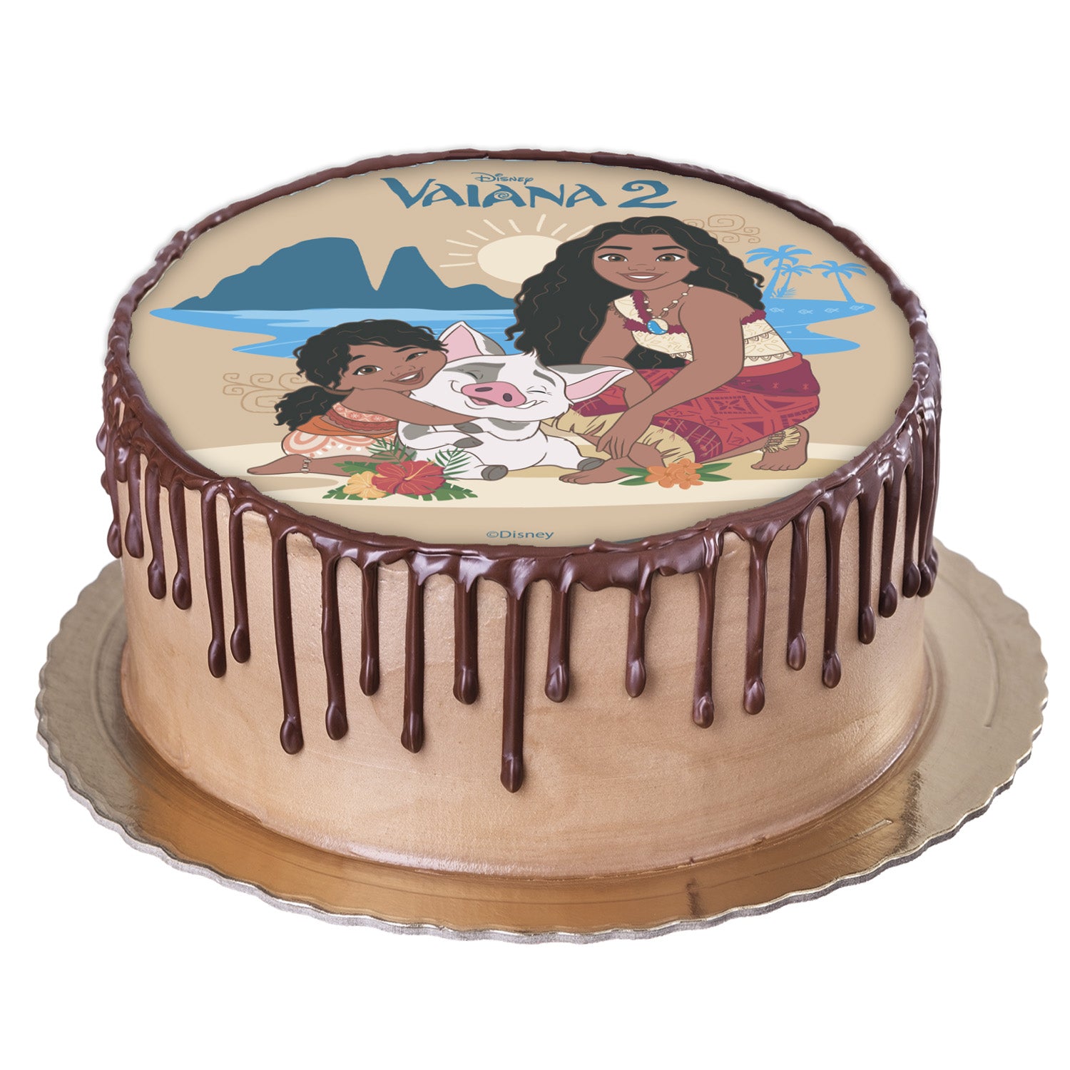 DISCO WAFER BOLO VAIANA 2 20CM