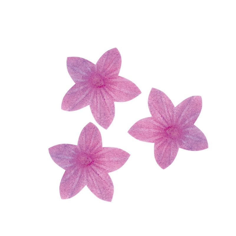 400 LILAS EN AZYME VIOLETTE 2 CM