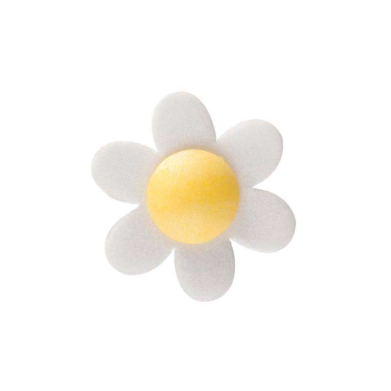 ANÉMONA EM OBREIA CORES SORTIDOS 4 CM