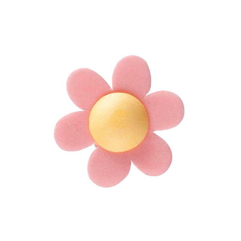 ANEMONE COLORE ASSORT. 4CM