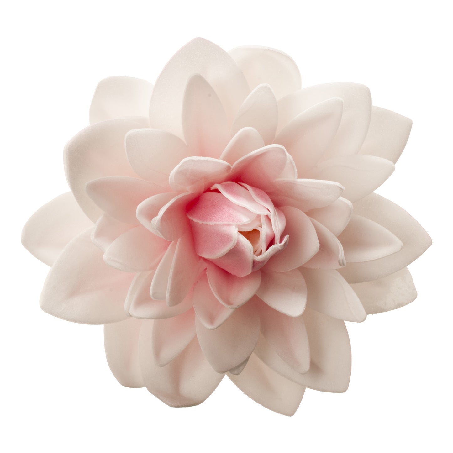 DALIA GIGANTE OBLEA COLOR ROSADO 12,5CM