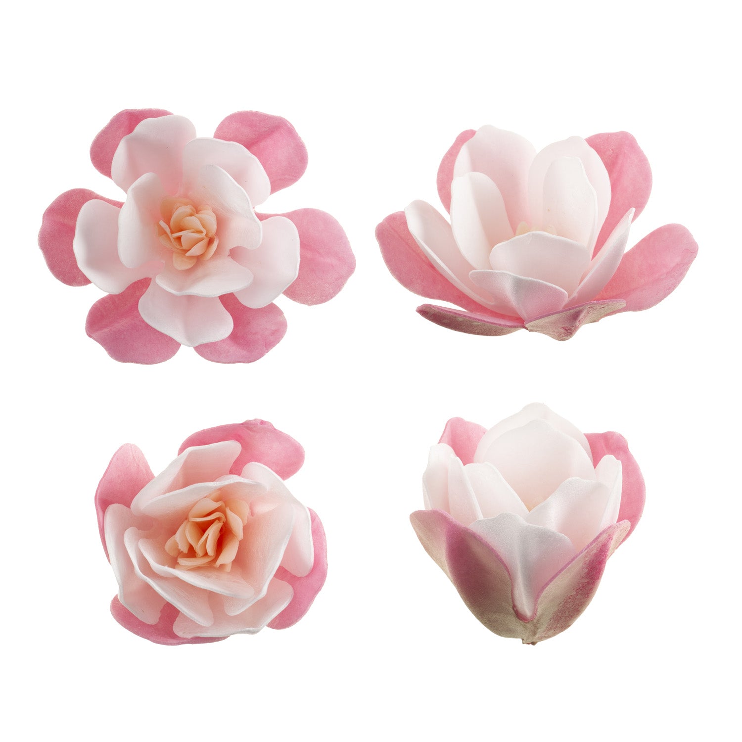 SCATOLA DA 6 MAGNOLIE IN WAFER ROSA 6.5-7CM