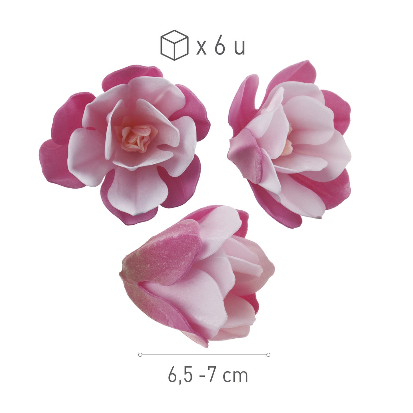 6 MAGNOLIAS DE OBLEA COLOR ROSA DE 6.5-7CM Y 5CM