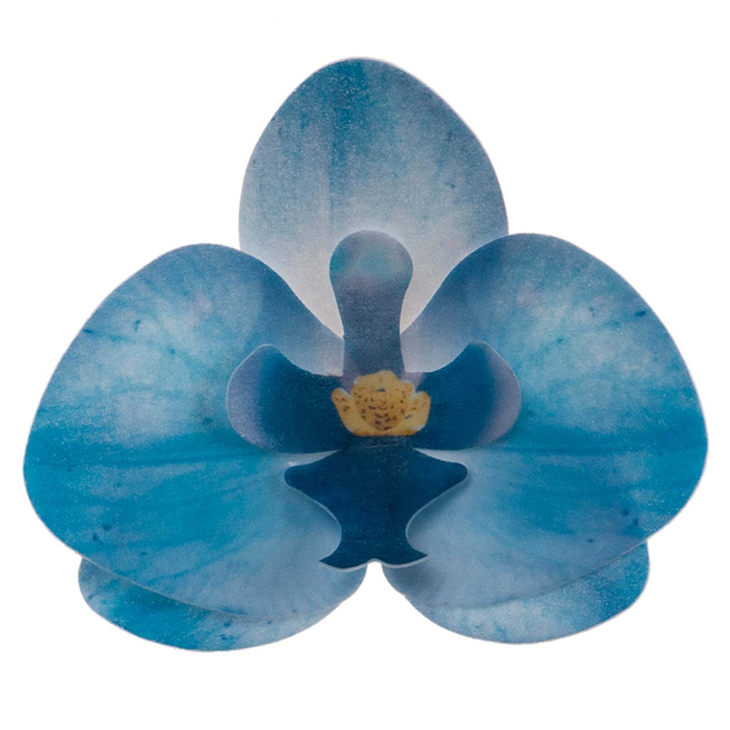 CAJA DE 10 ORQUÍDEAS DE OBLEA COLOR AZUL 8.5 -7.5CM
