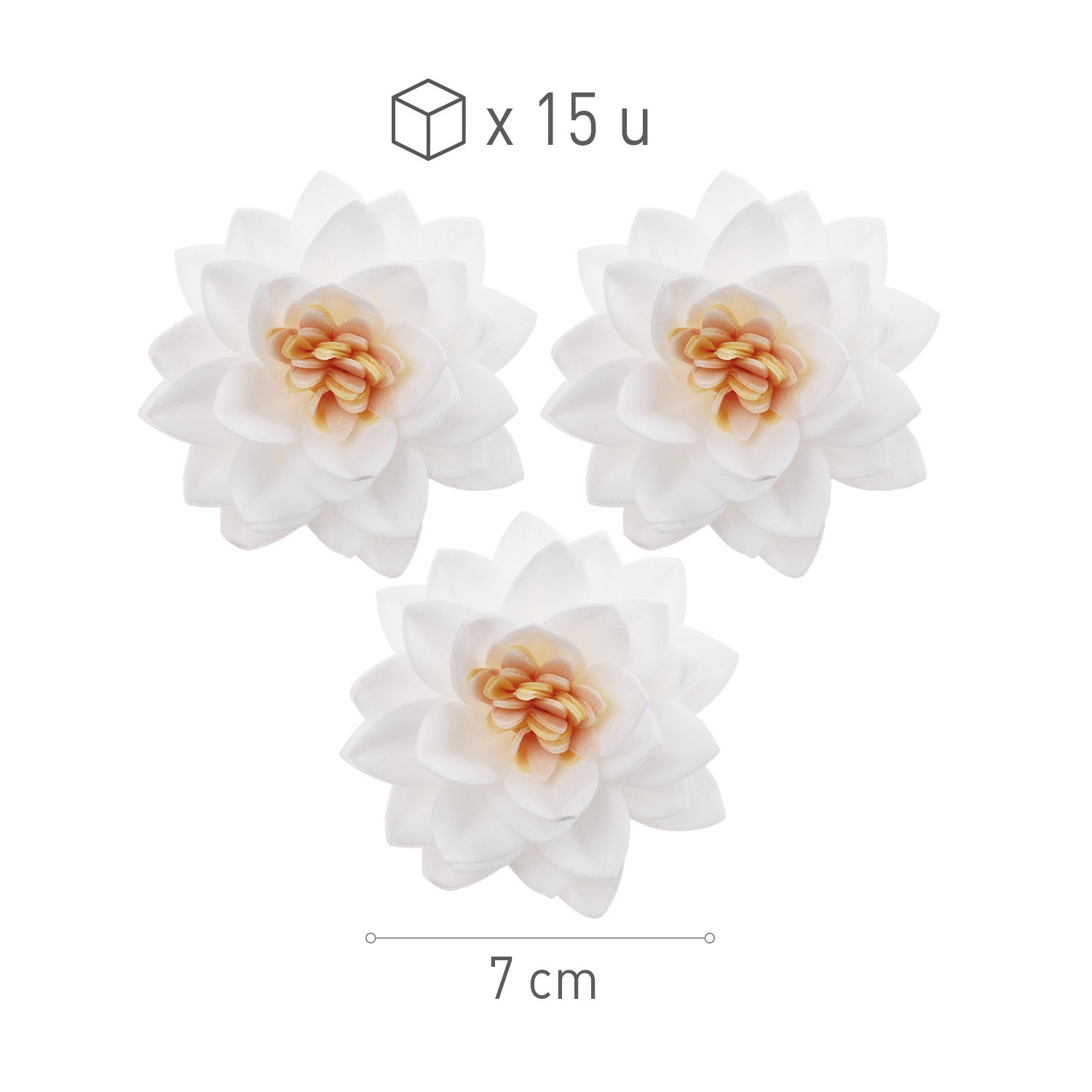 CAIXA DE 15 FLORES DE LÓTUS WAFER BRANCA Ø 7CM