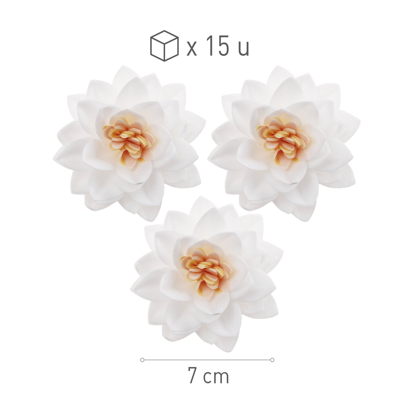 SCATOLA DA 15 FIORI DI LOTO IN CIALDA BIANCA Ø 7CM
