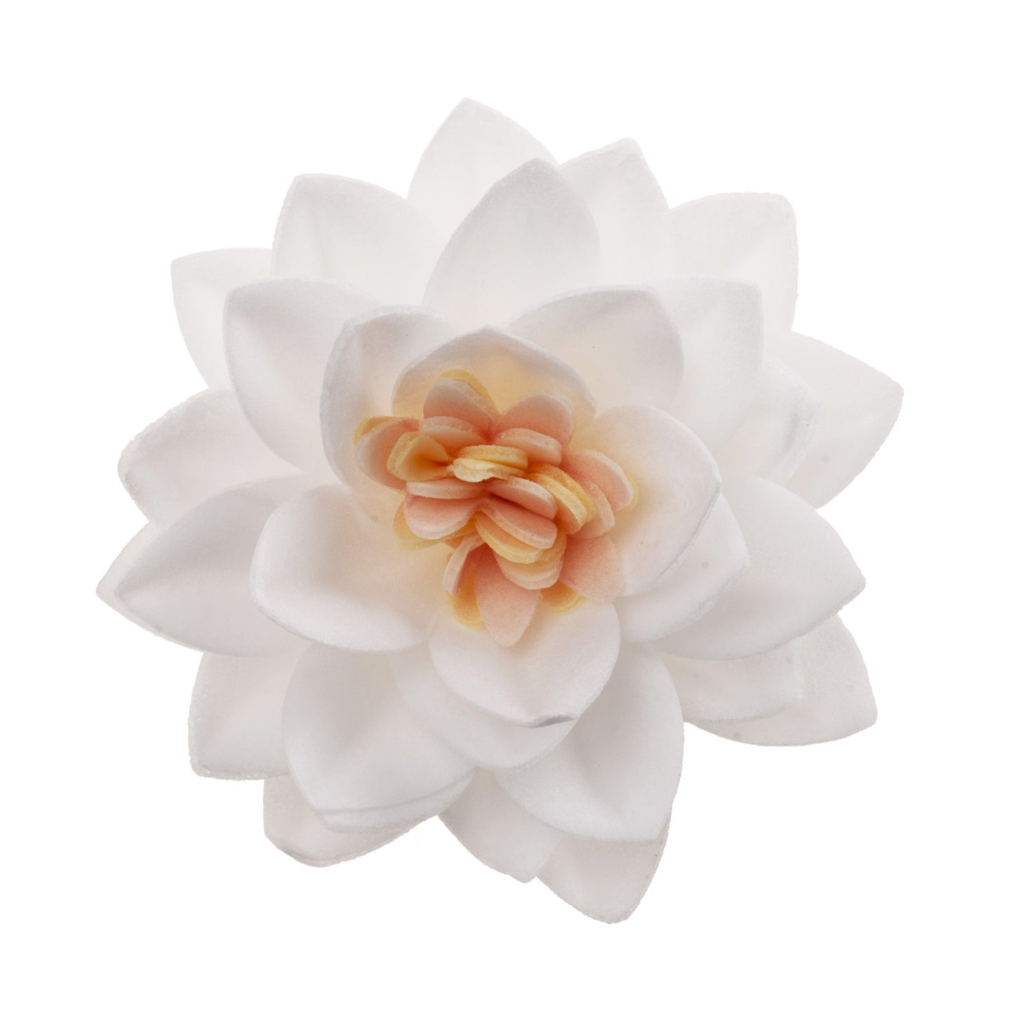 SCATOLA DA 15 FIORI DI LOTO IN CIALDA BIANCA Ø 7CM