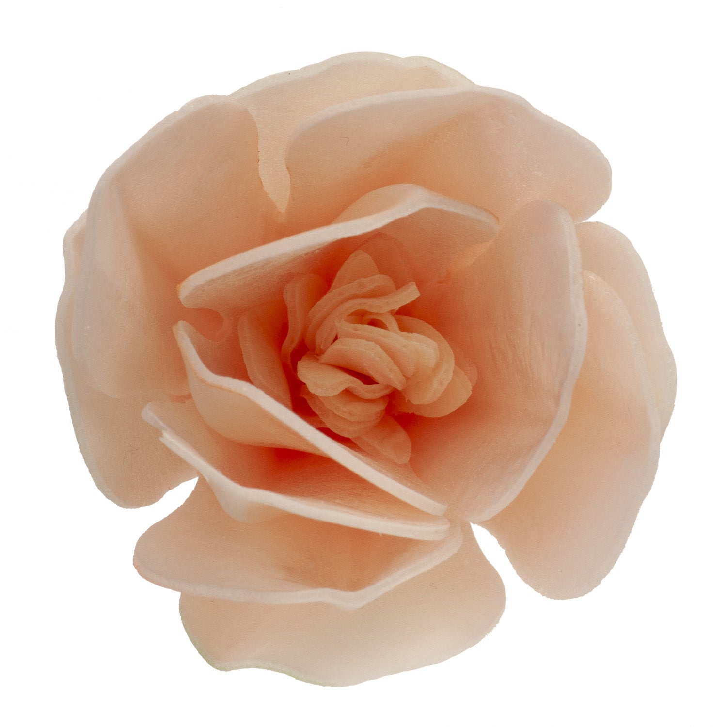 BOX OF 6 WHITE WAFER MAGNOLIAS 6.5-7CM