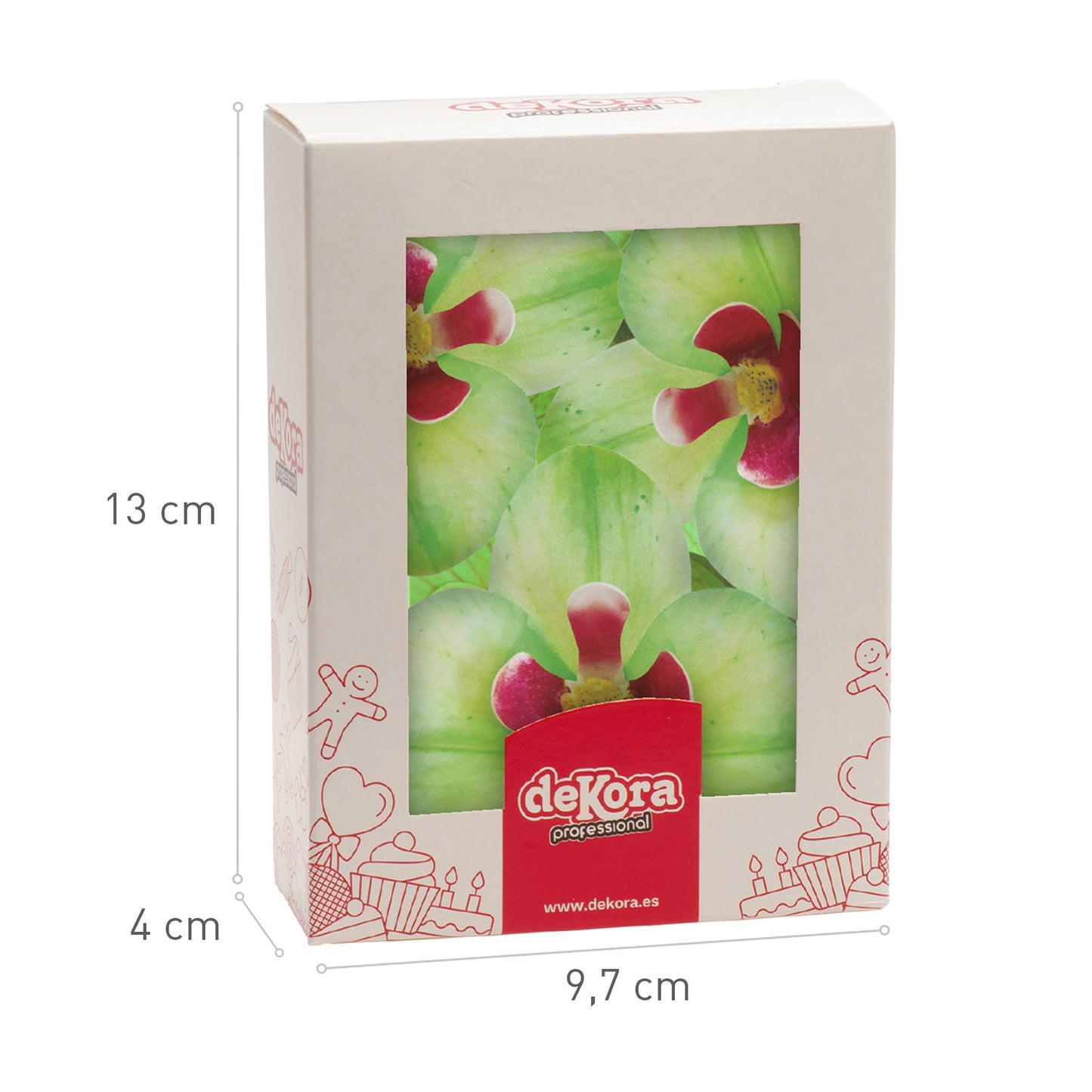 BOX OF 10 GREEN WAFER ORCHIDS 8.5-7.5CM