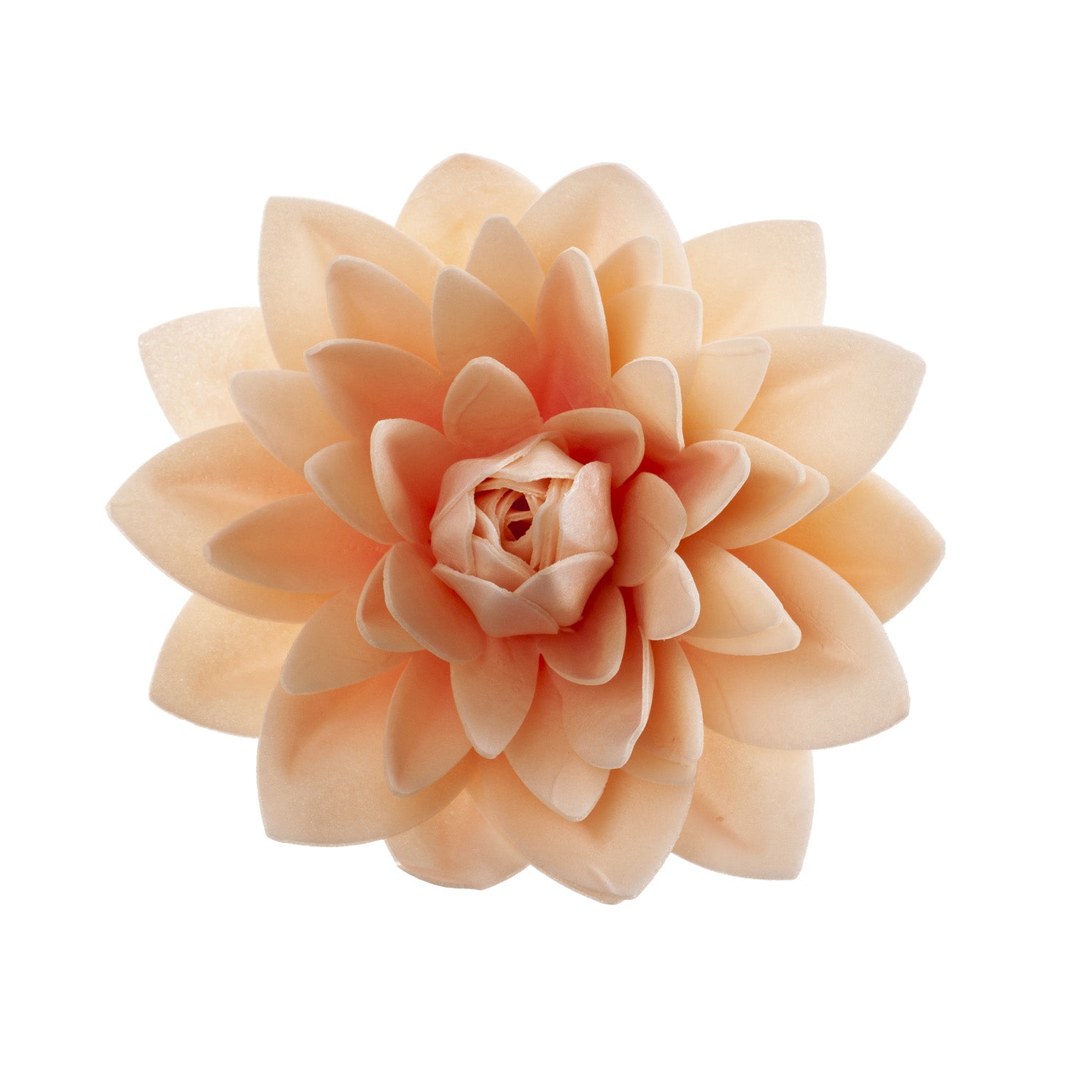 DALIA GIGANTE OBLEA COLOR PASTEL Ø 12.5CM