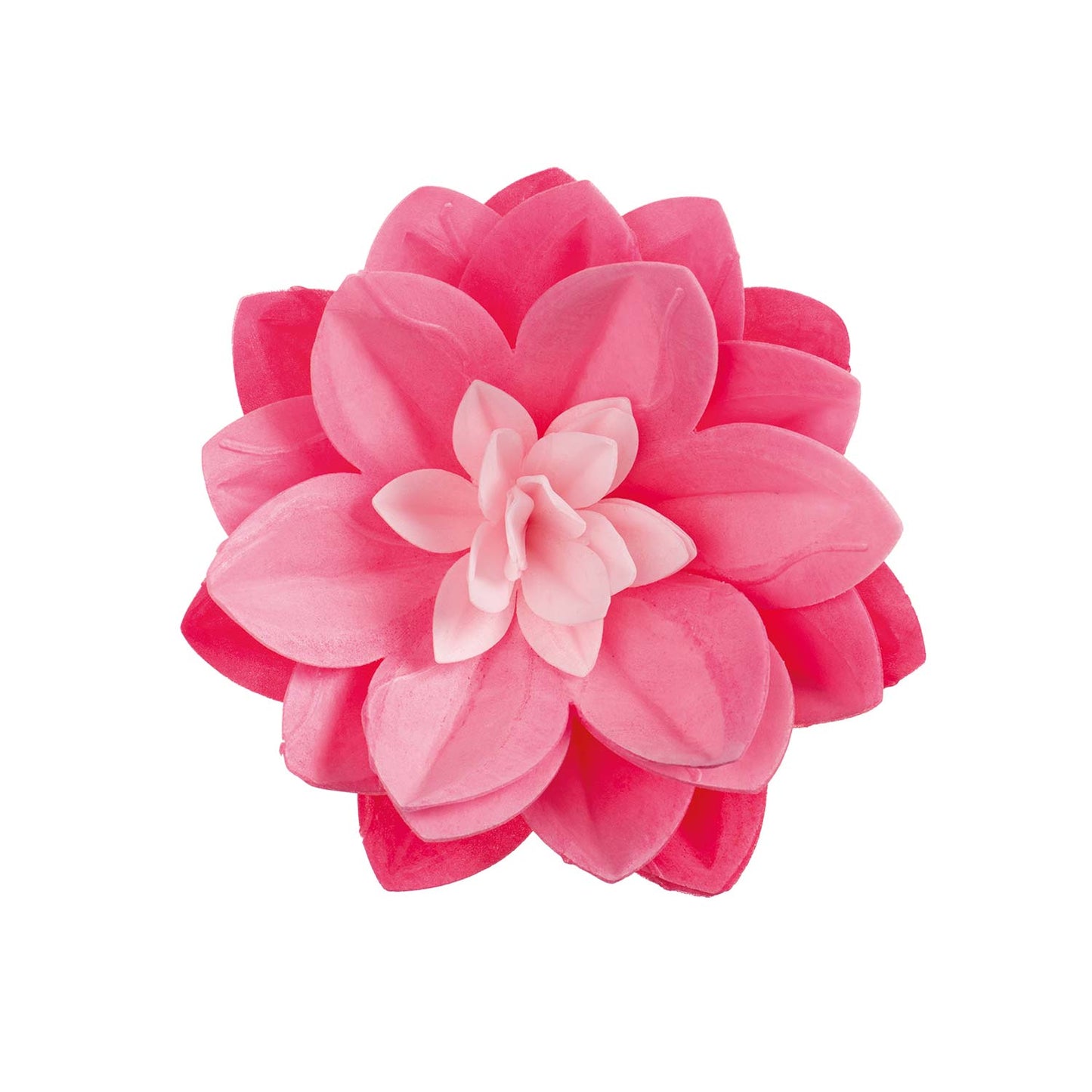 CIALDA DI NINFEA COLORE ROSA 14CM