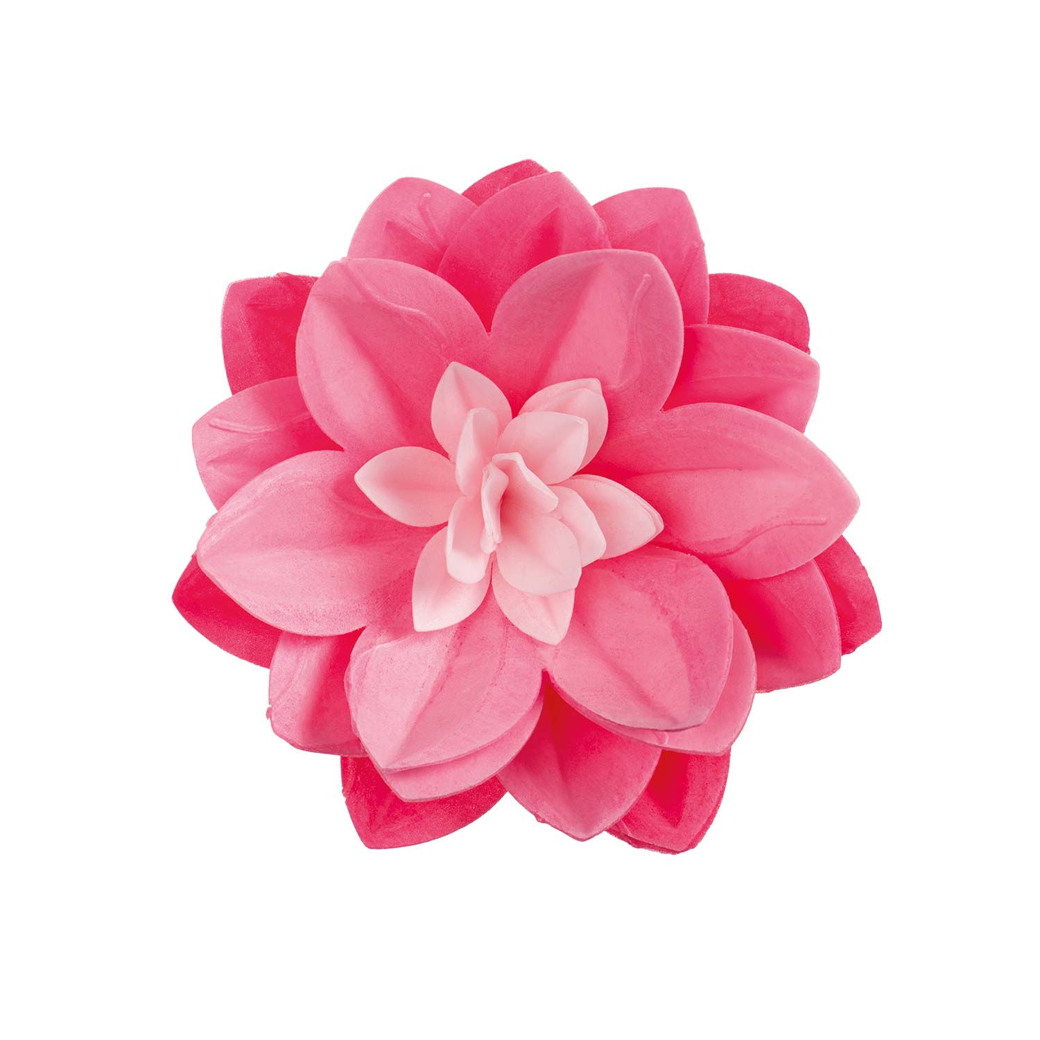 CIALDA DI NINFEA COLORE ROSA 14CM