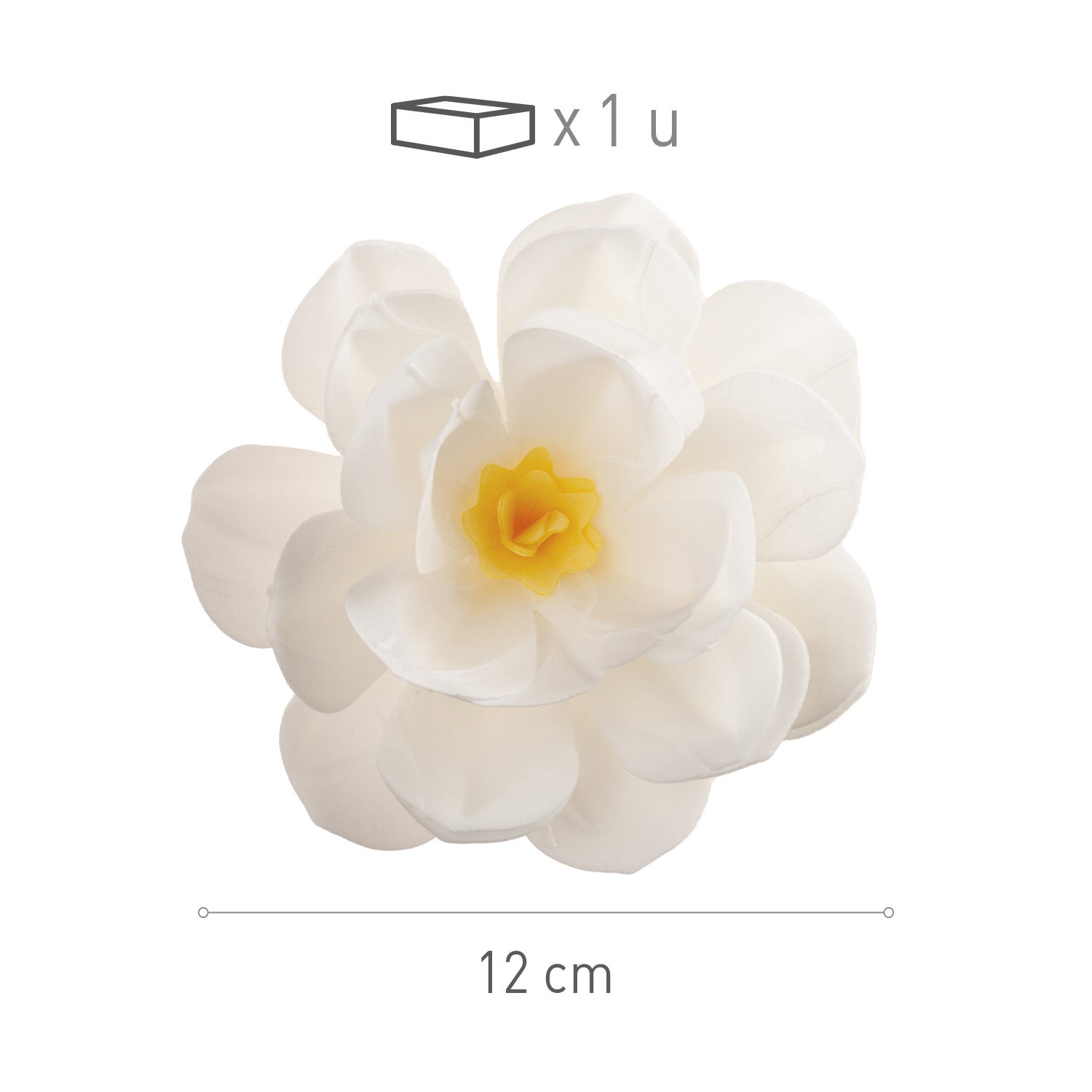 FIORE DI OSTIA BIANCO 12CM