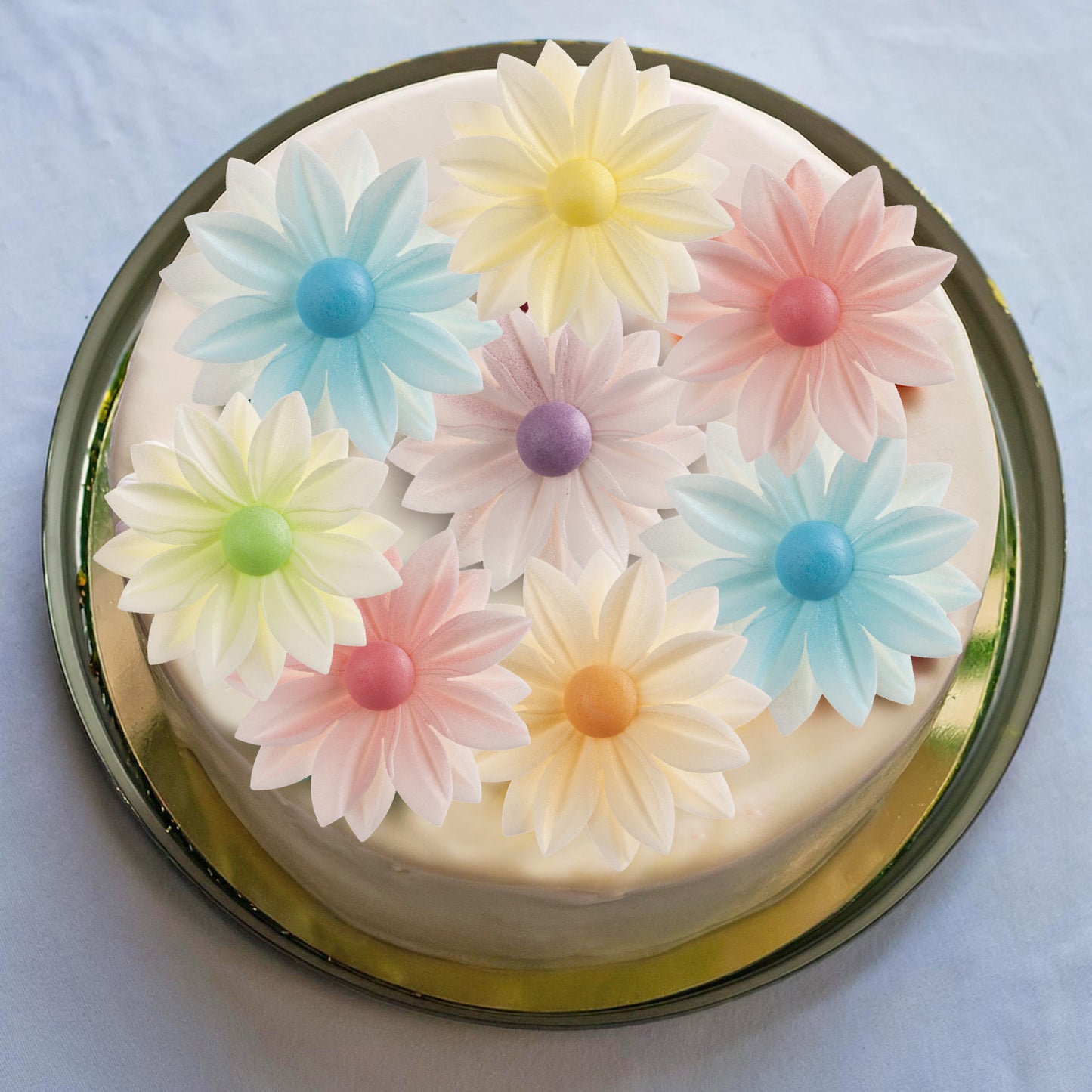  DAISY CORES VARIADAS 7CM