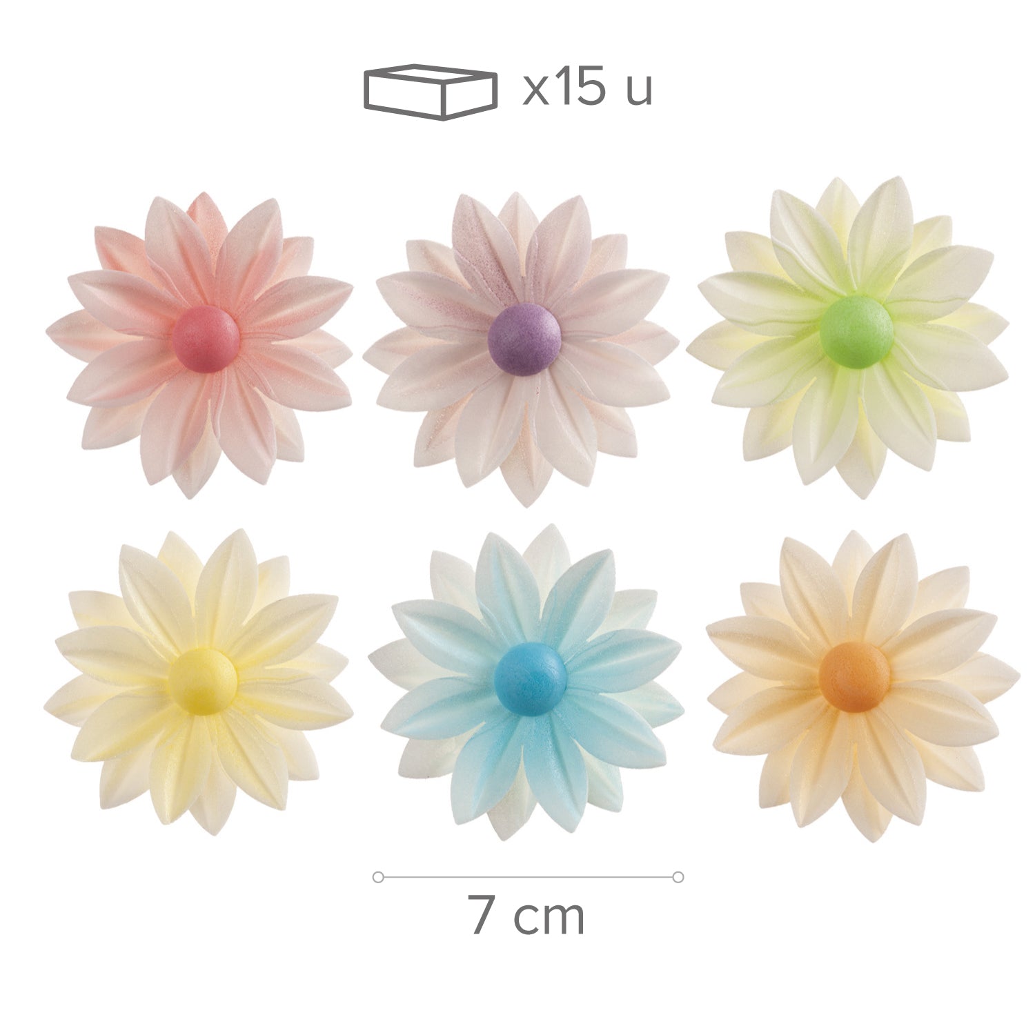  DAISY ASSORTED COLOURS 7CM
