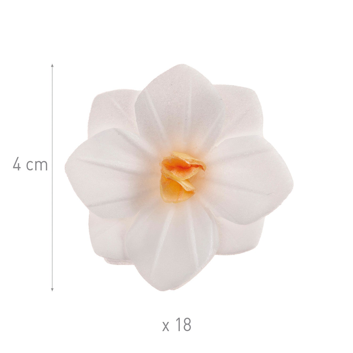 FIORE DI CIALDA BIANCHI 4CM
