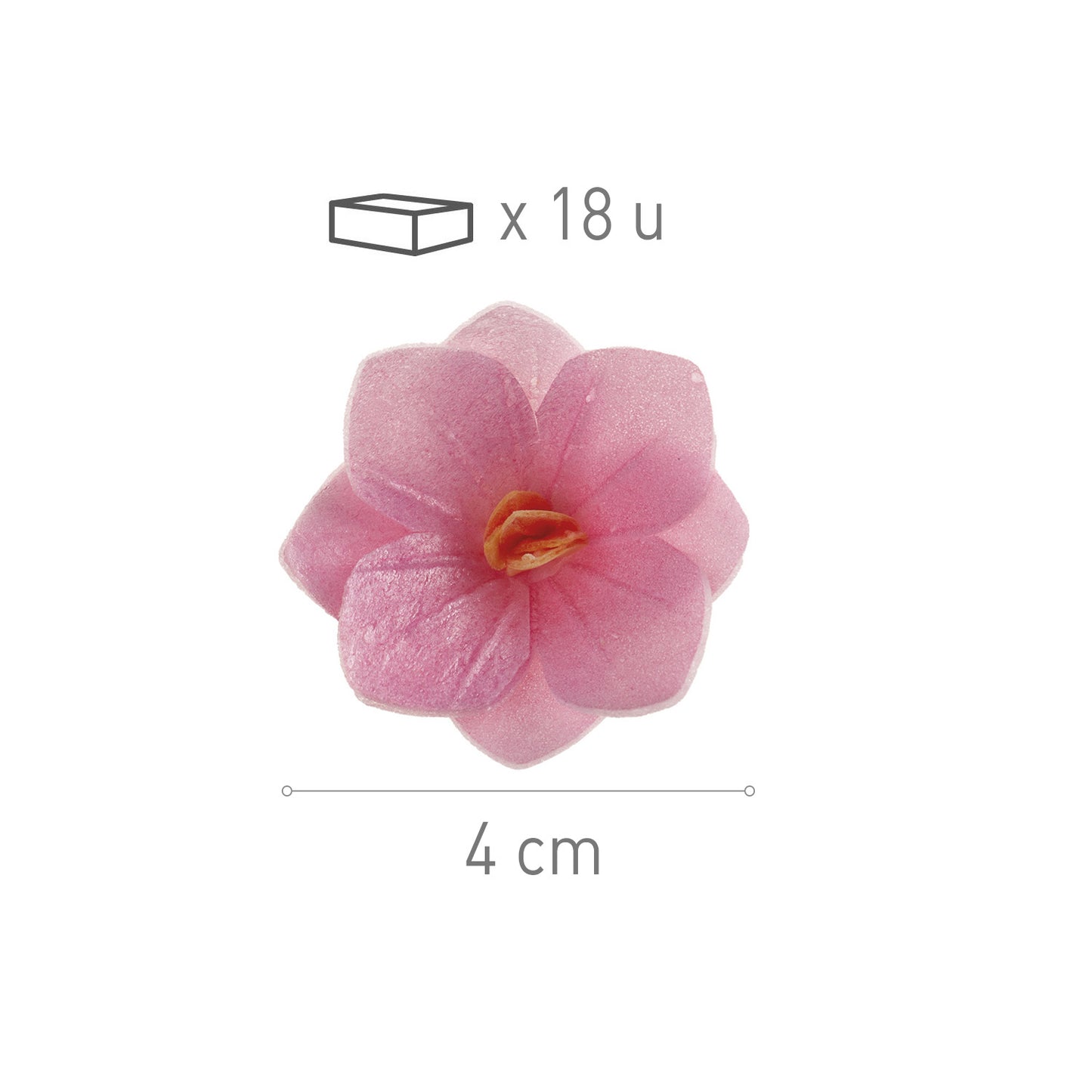 FLORES DE HÓSTIA COR-DE-ROSA 4CM