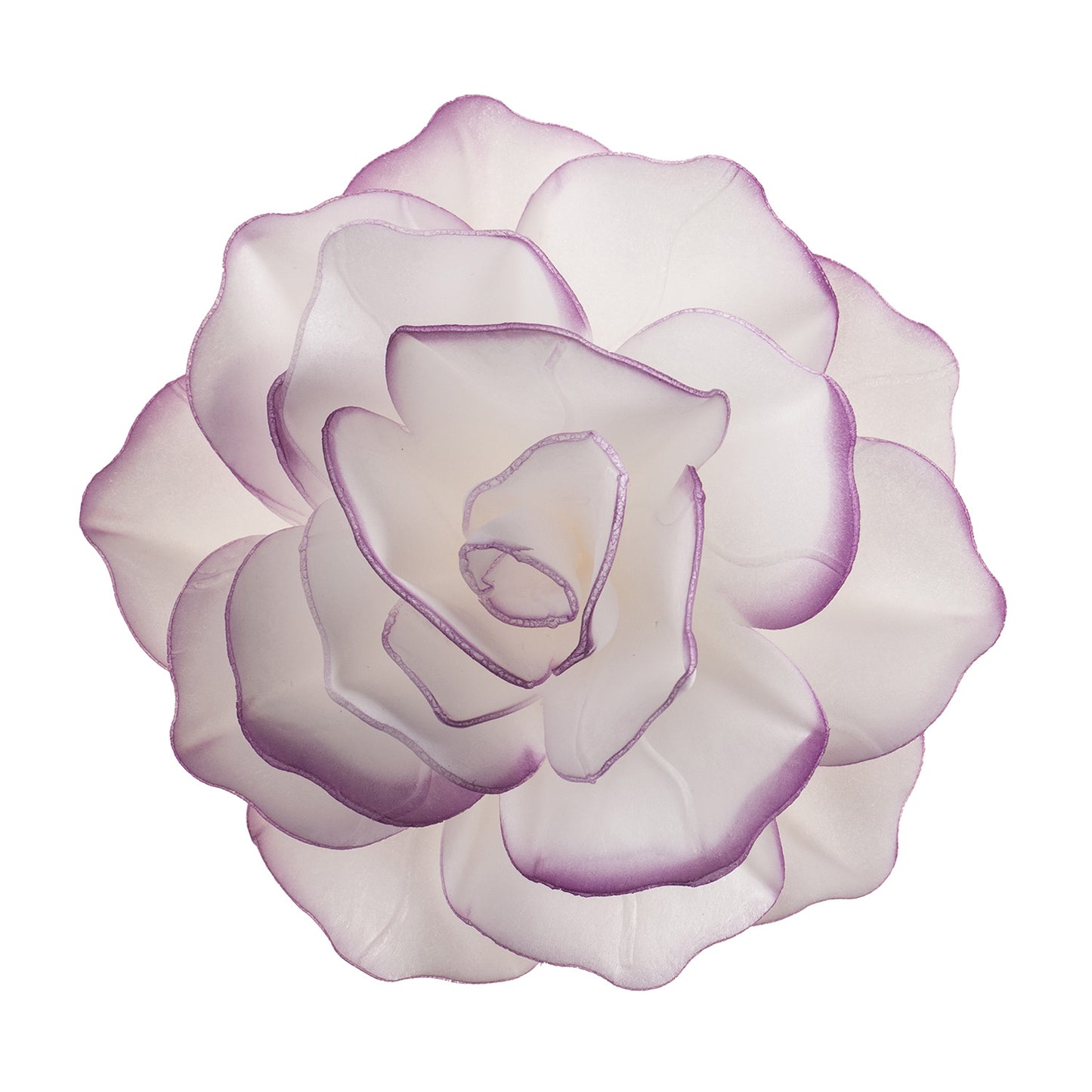 FIORE IN CIALDA CON BORDO VIOLA 12,5CM