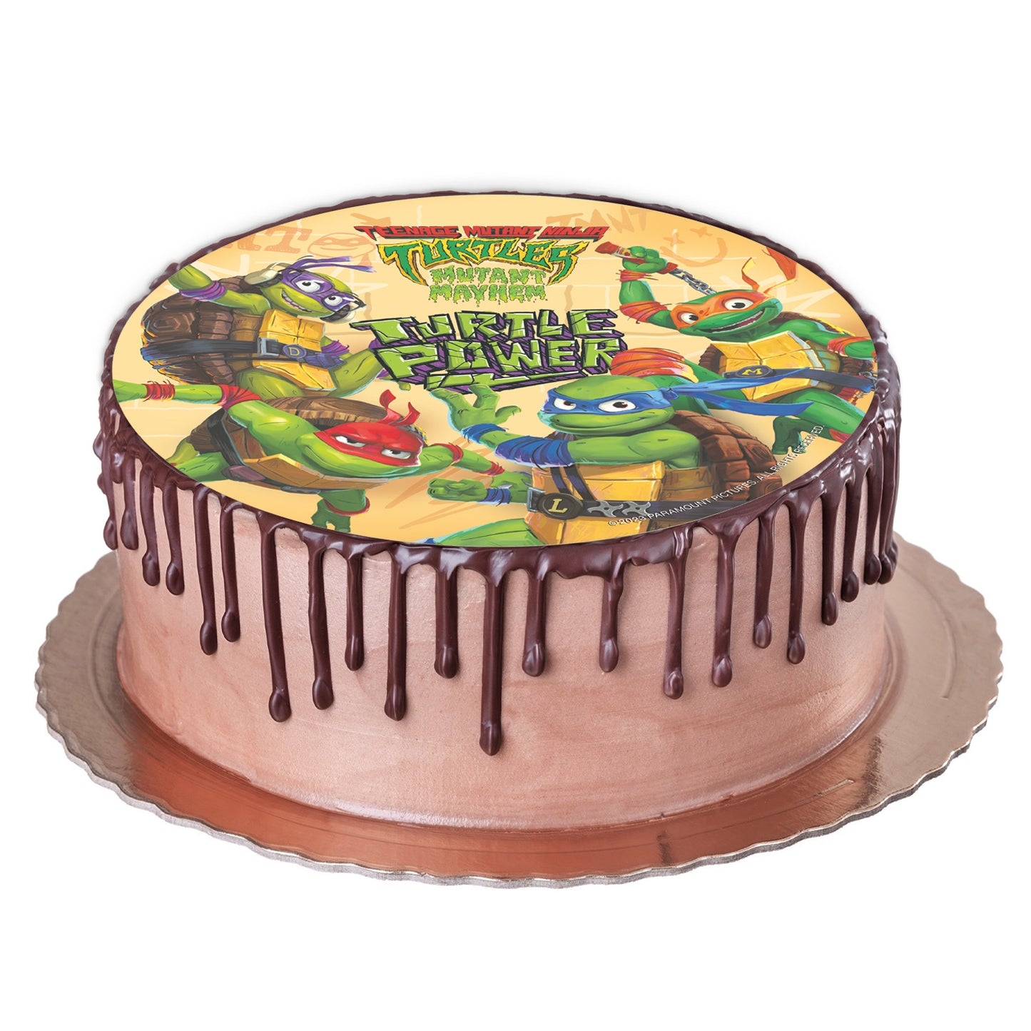 NINJA TURTLES CAKE DECORATING WAFER DISC 20CM