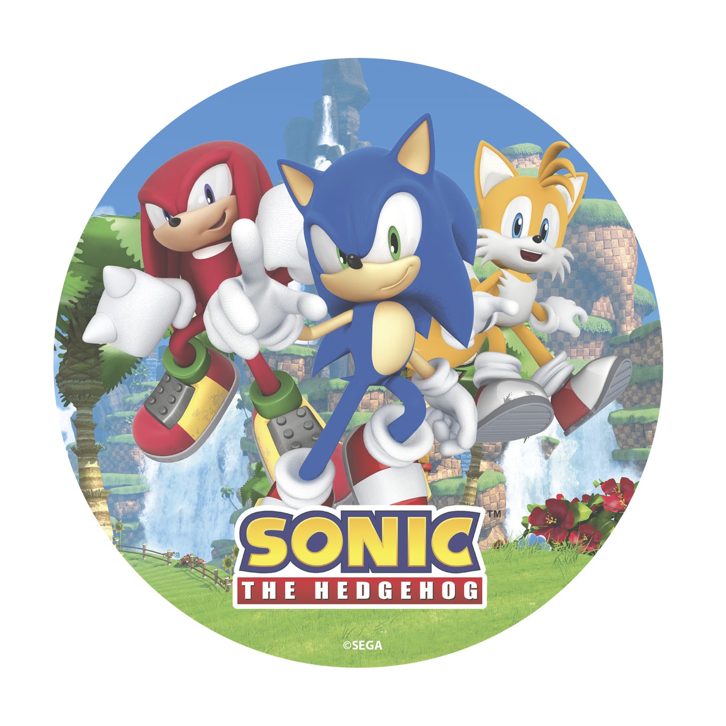 DISCO OBLEA TARTA SONIC 20CM