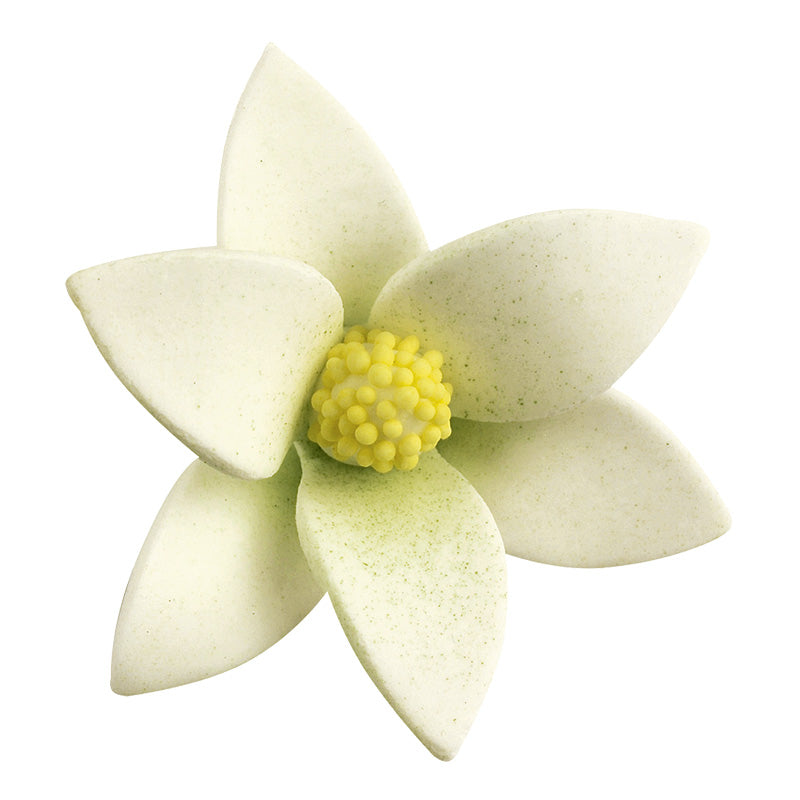 48 FLORES DE AZÚCAR BLANCAS CON CENTRO DE COLOR 6 x 2,5 CM