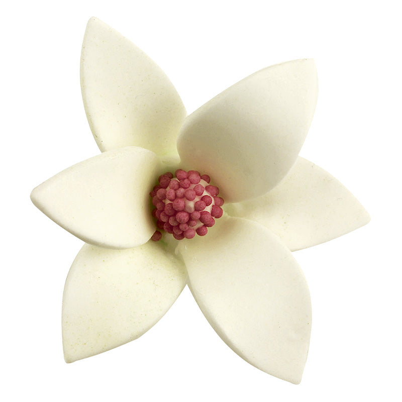 48 SUGAR WHITE ROSES WITH COLOR INSIDE 6 x 2,5 CM