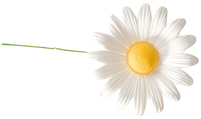DECORATION EN SUCRE ASSORTIMENT MARGUERITES JAUNES/BLANCHES