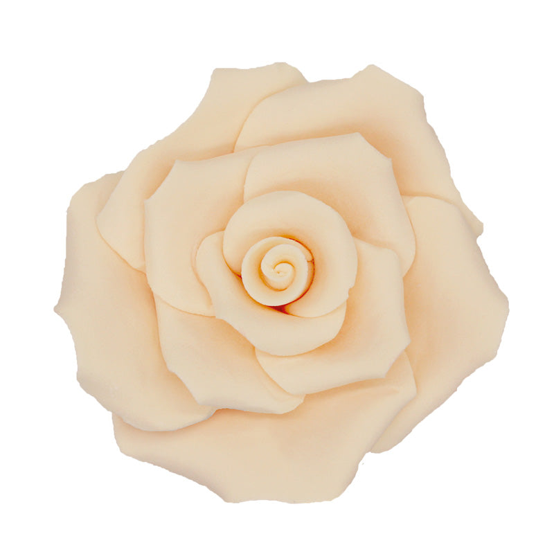 ROSA DE AZÚCAR MARFIL Ø 70 MM