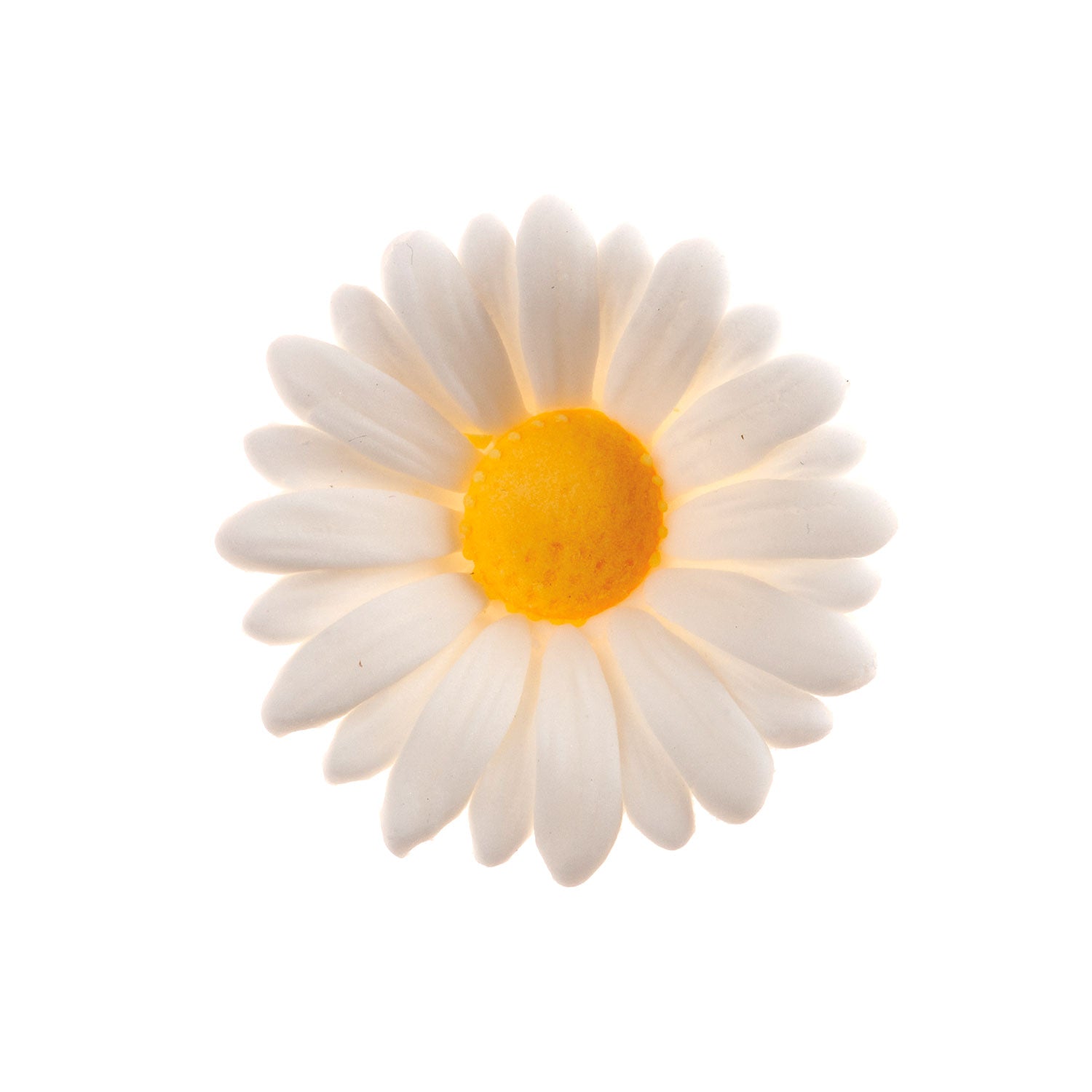 SUGAR DAISY Ø 4.5CM