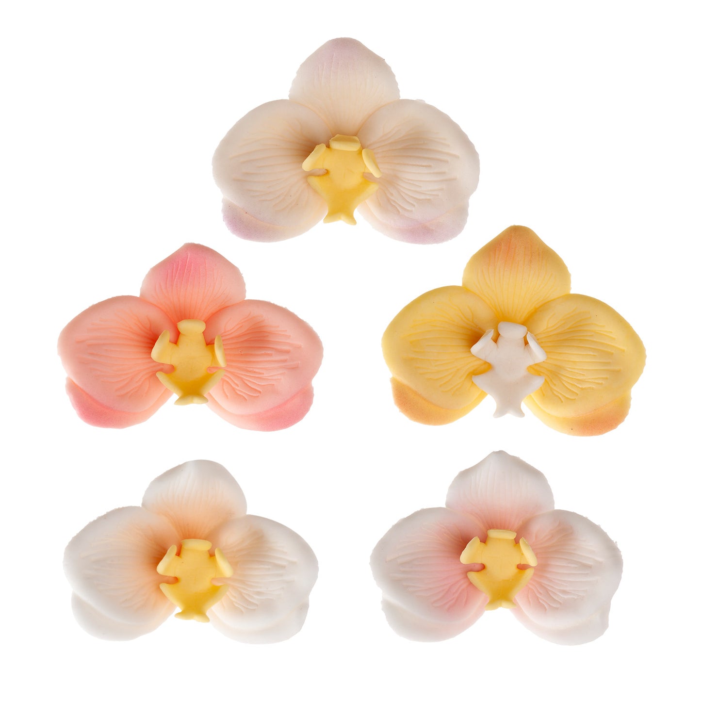 ORQUÍDEAS DE AZÚCAR 5 COLORES 7X8CM
