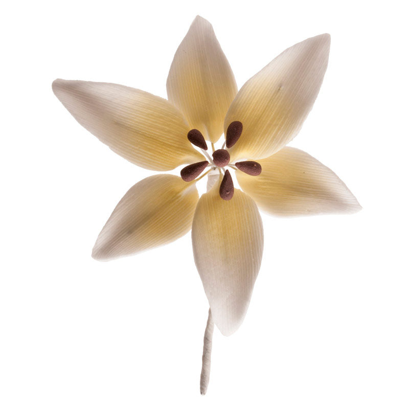 WHITE SUGAR CAKE DECORATING ORCHIDS 8 cm