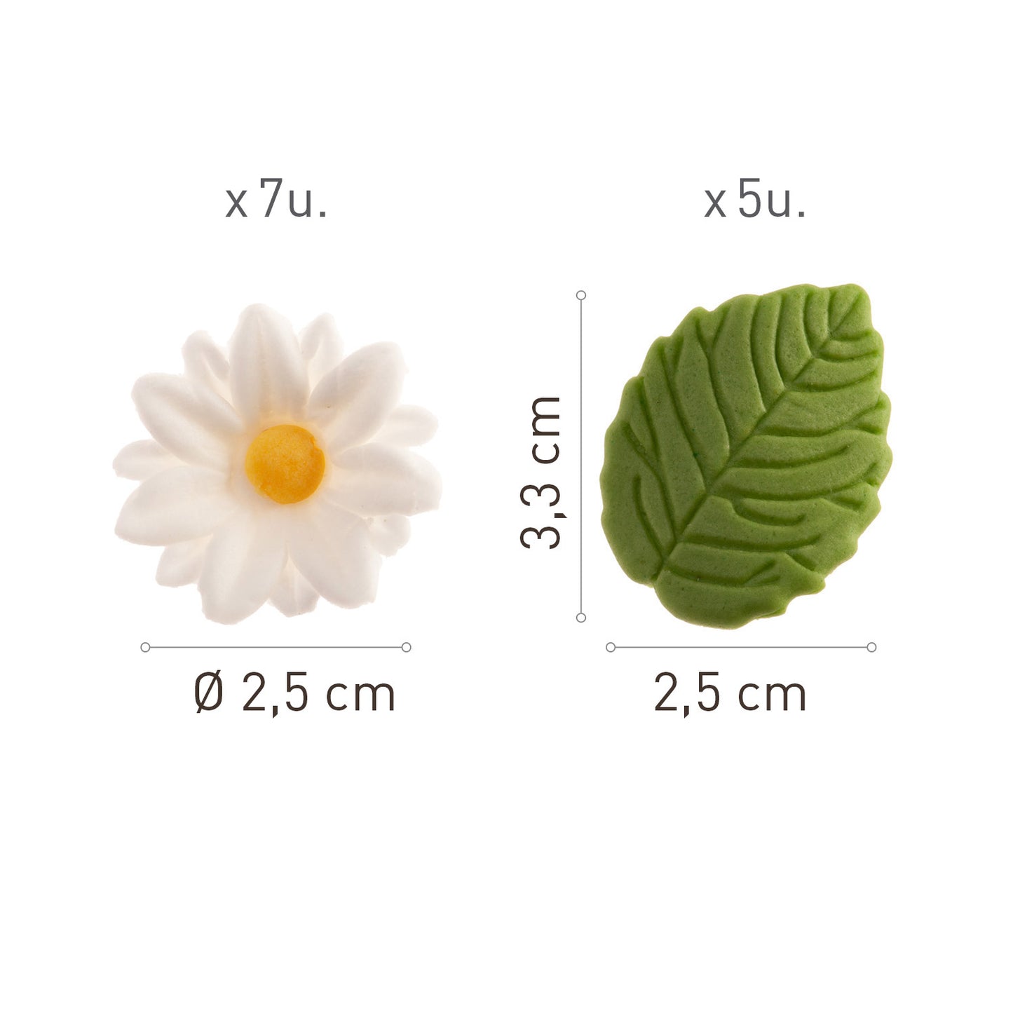 BLÍSTER AZÚCAR 7 MARGARITAS BLANCAS Y 5 HOJAS VERDES