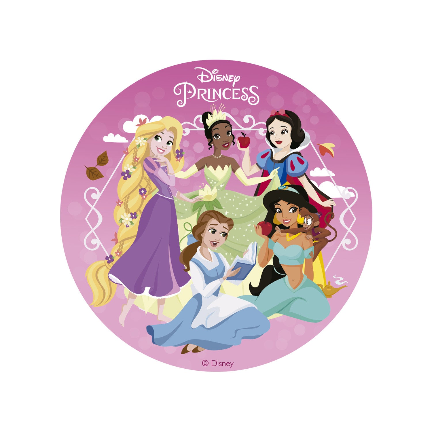 PRINCESSES CAKE DECORATING EDIBLE DISK ZERO 15,5CM