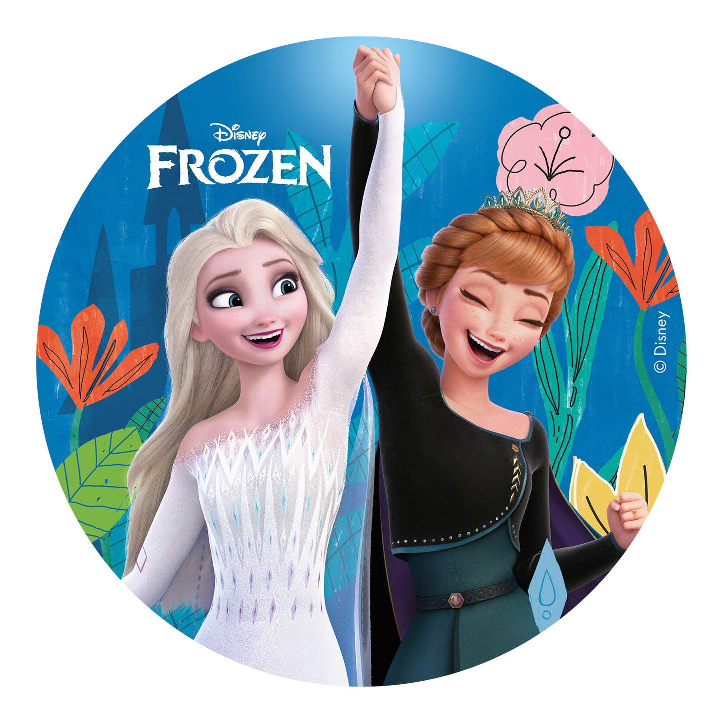 DISCO COMESTIBLE TARTA FROZEN ZERO Ø 15,5CM