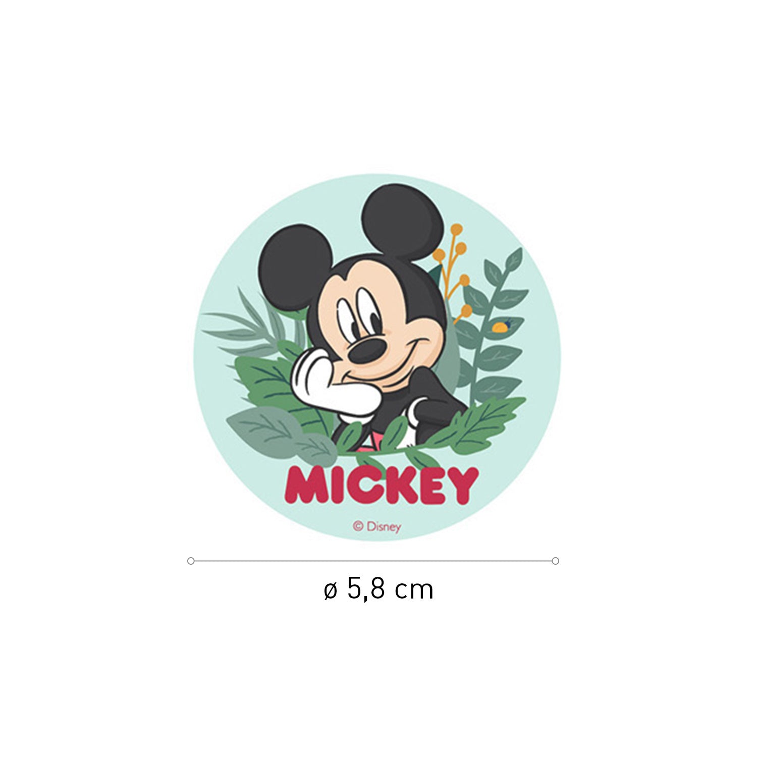 MIX DISCOS COMESTIBLES MICKEY & MINNIE ZERO 6U Ø 5,8CM A5