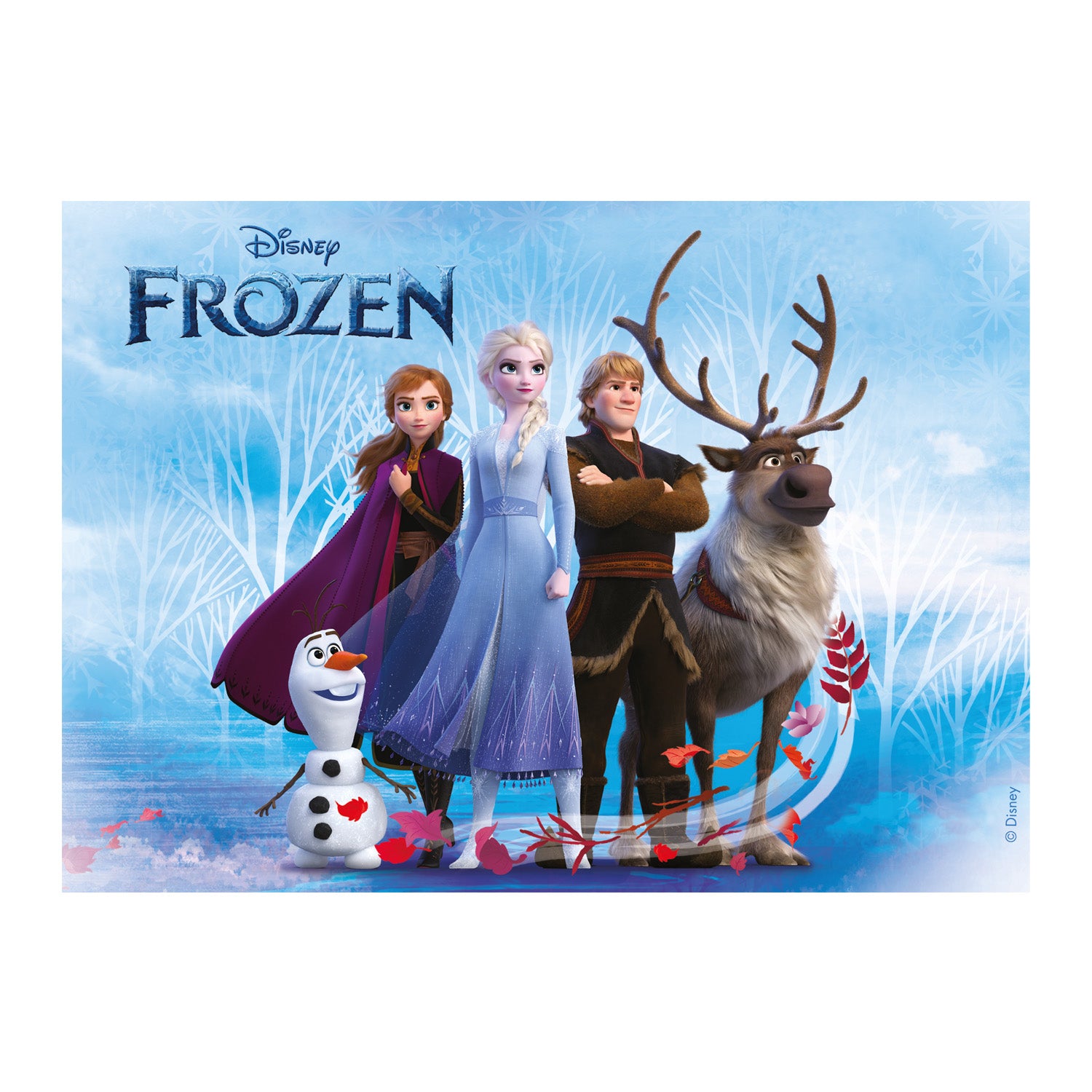 FONDANT DECORAÇÃO BOLO FROZEN A5 14,8X21CM