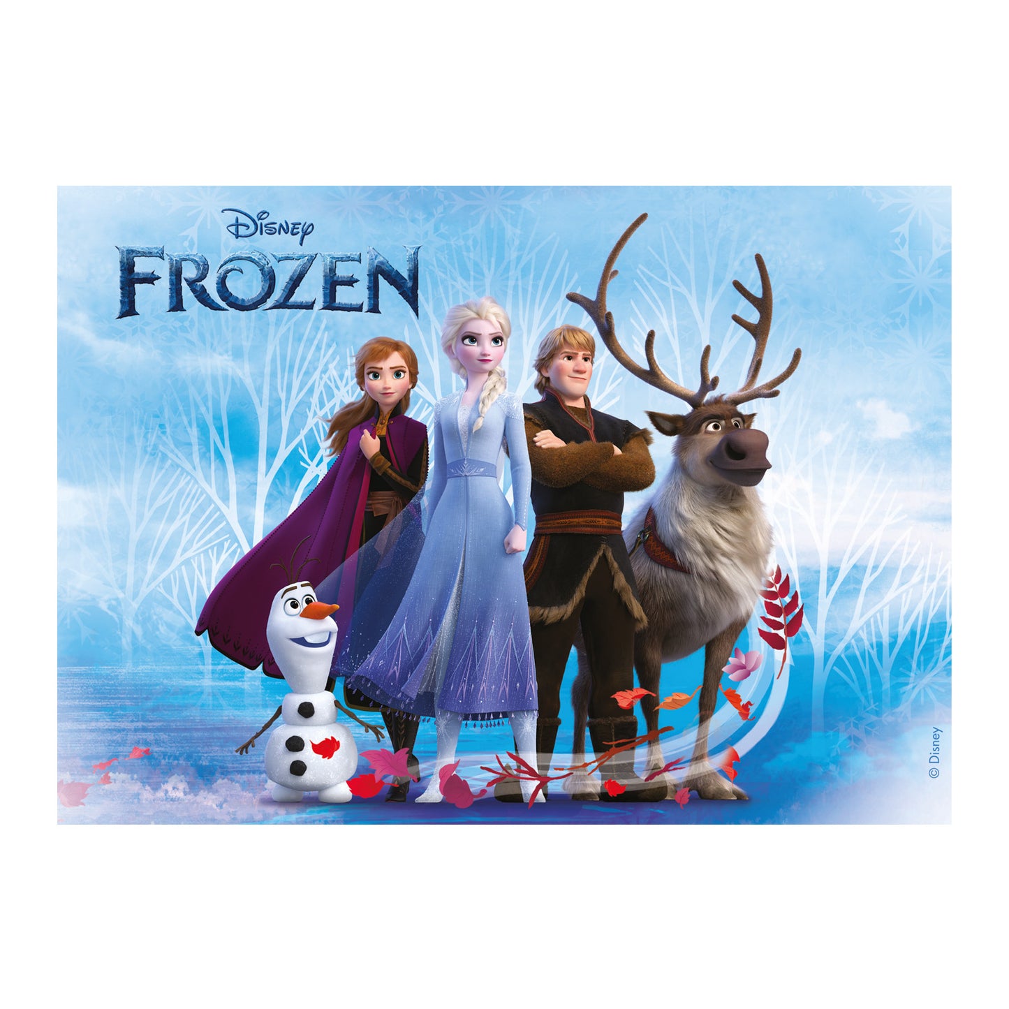 FONDANT DECORAÇÃO BOLO FROZEN A5 14,8X21CM