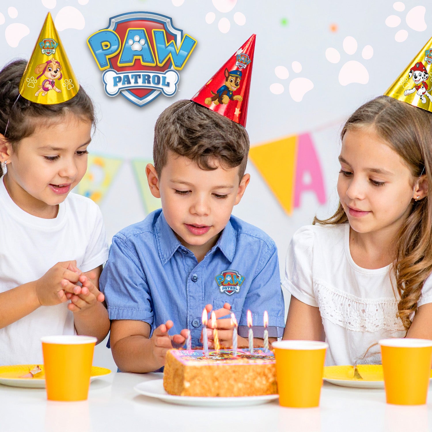 FONDANT DECORAZIONE TORTE PAW PATROL A5 14,8X21CM