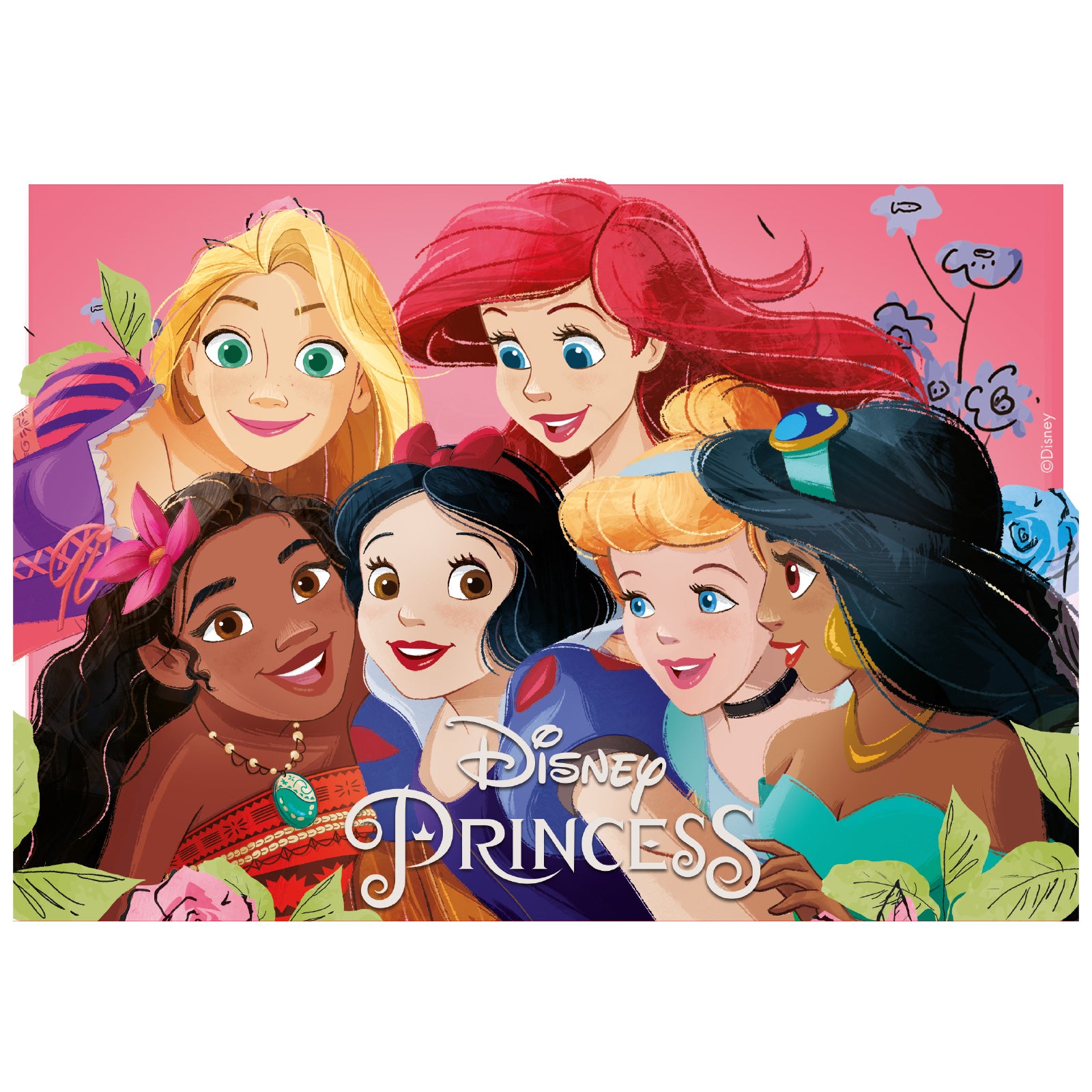 DISNEY PRINCESS FONDANT DECORATION CAKE 14,8X21CM