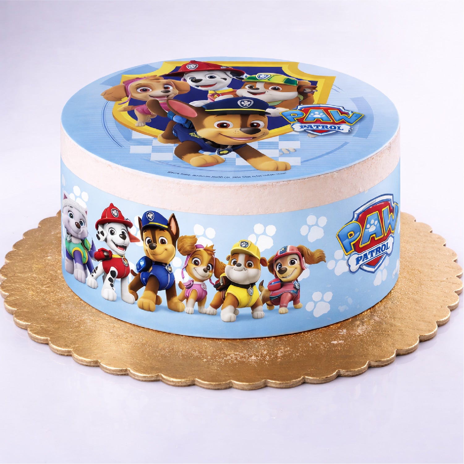 RIBBONS FONDANT DECORAZIONE TORTE PAW PATROL A5 14,8X21CM