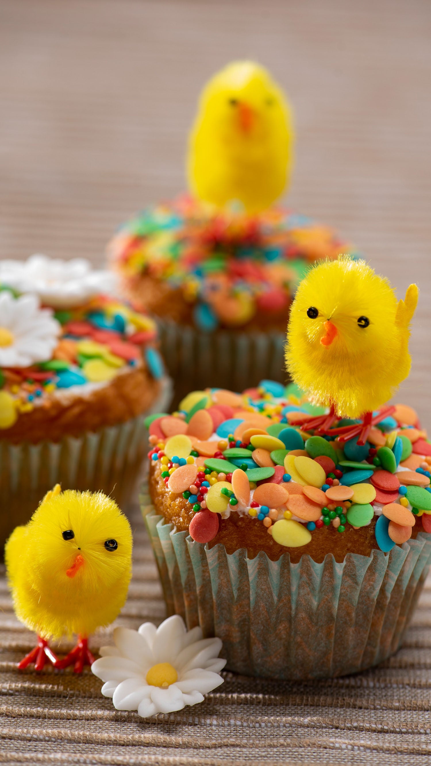 BOITE DE 6 POUSSINS DE PÂQUES JAUNES 2.5CM