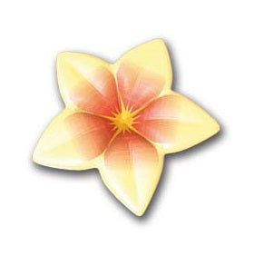 3D WHITE CHOCOLATE FLOWER